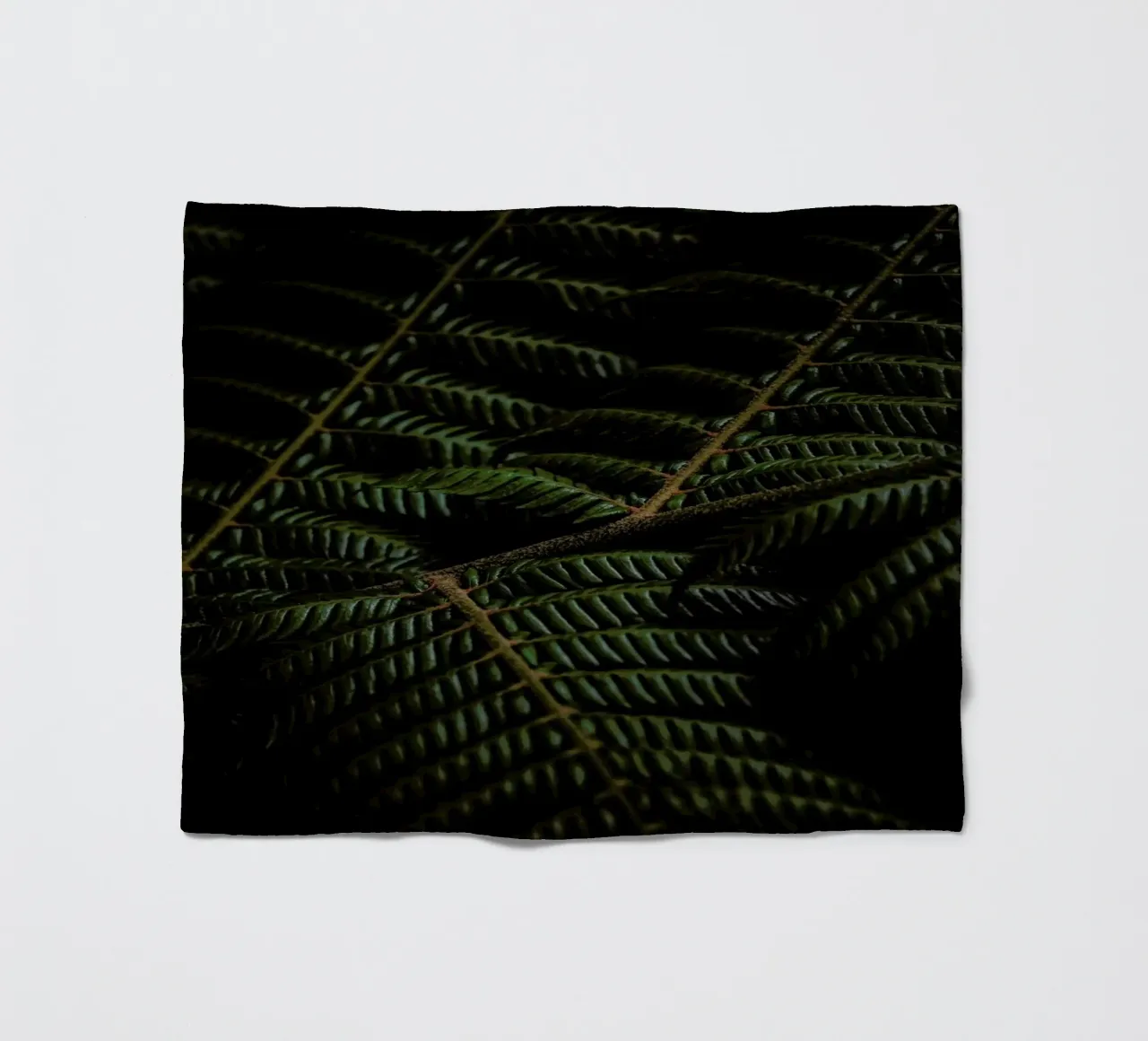 Fern 3 coperta in pile da Nur Mut