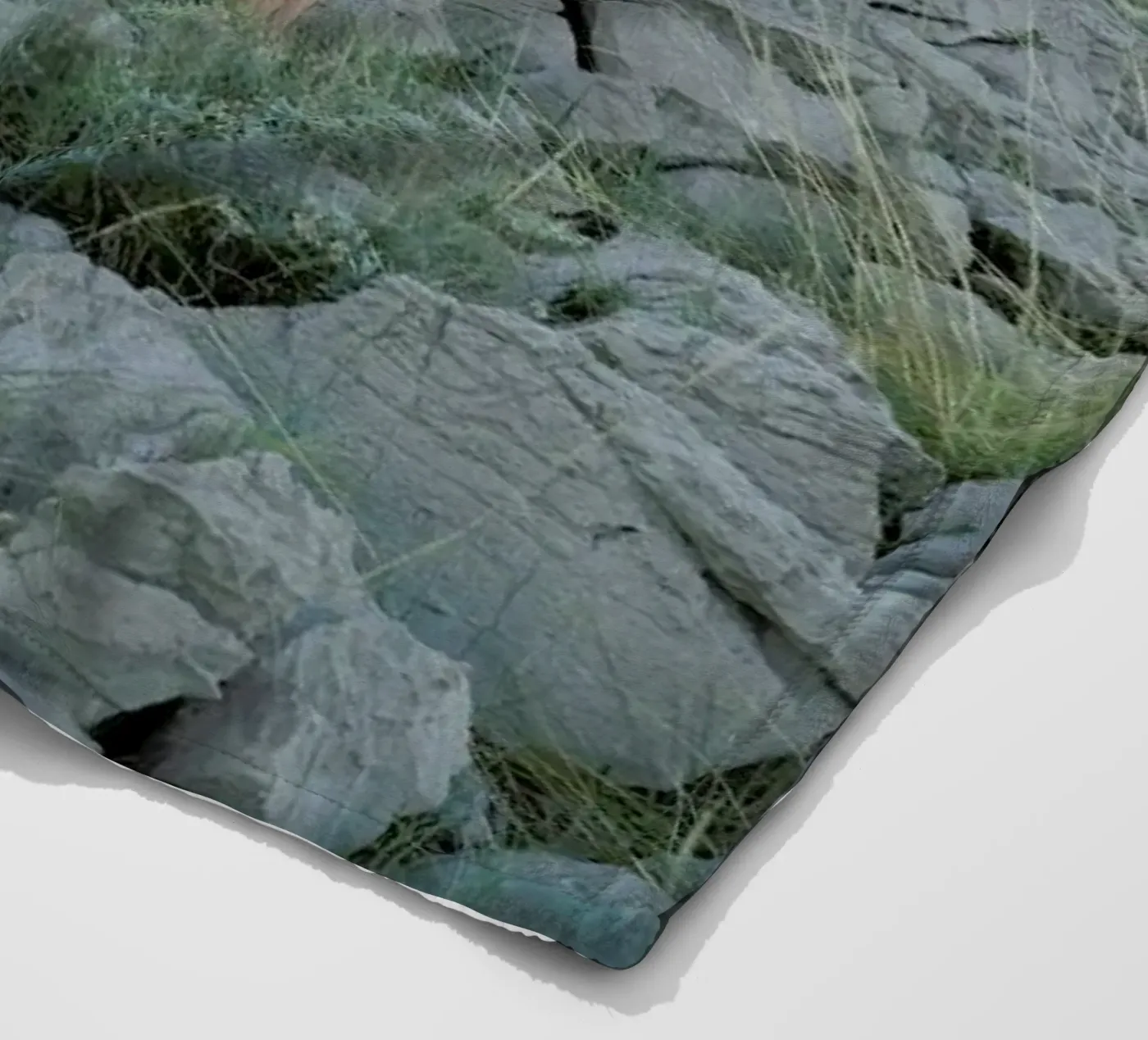 Consonance coperta in pile da Matevž Kosterov