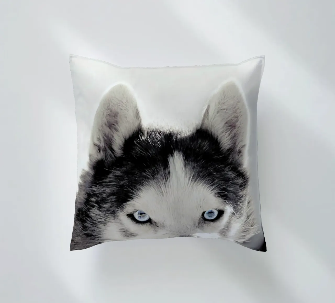 Husky cuscino da Monika Strigel