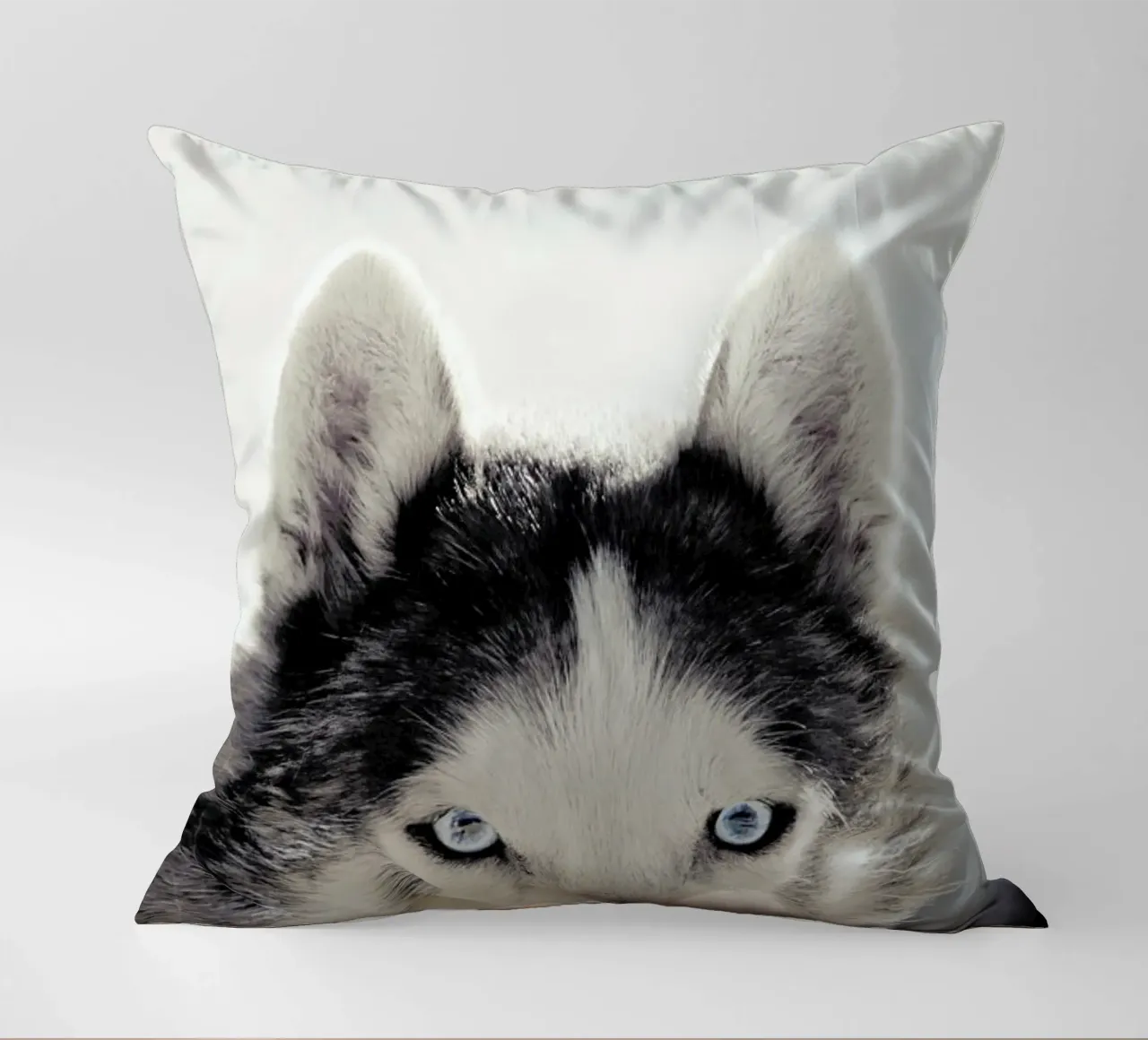 Husky cuscino da Monika Strigel