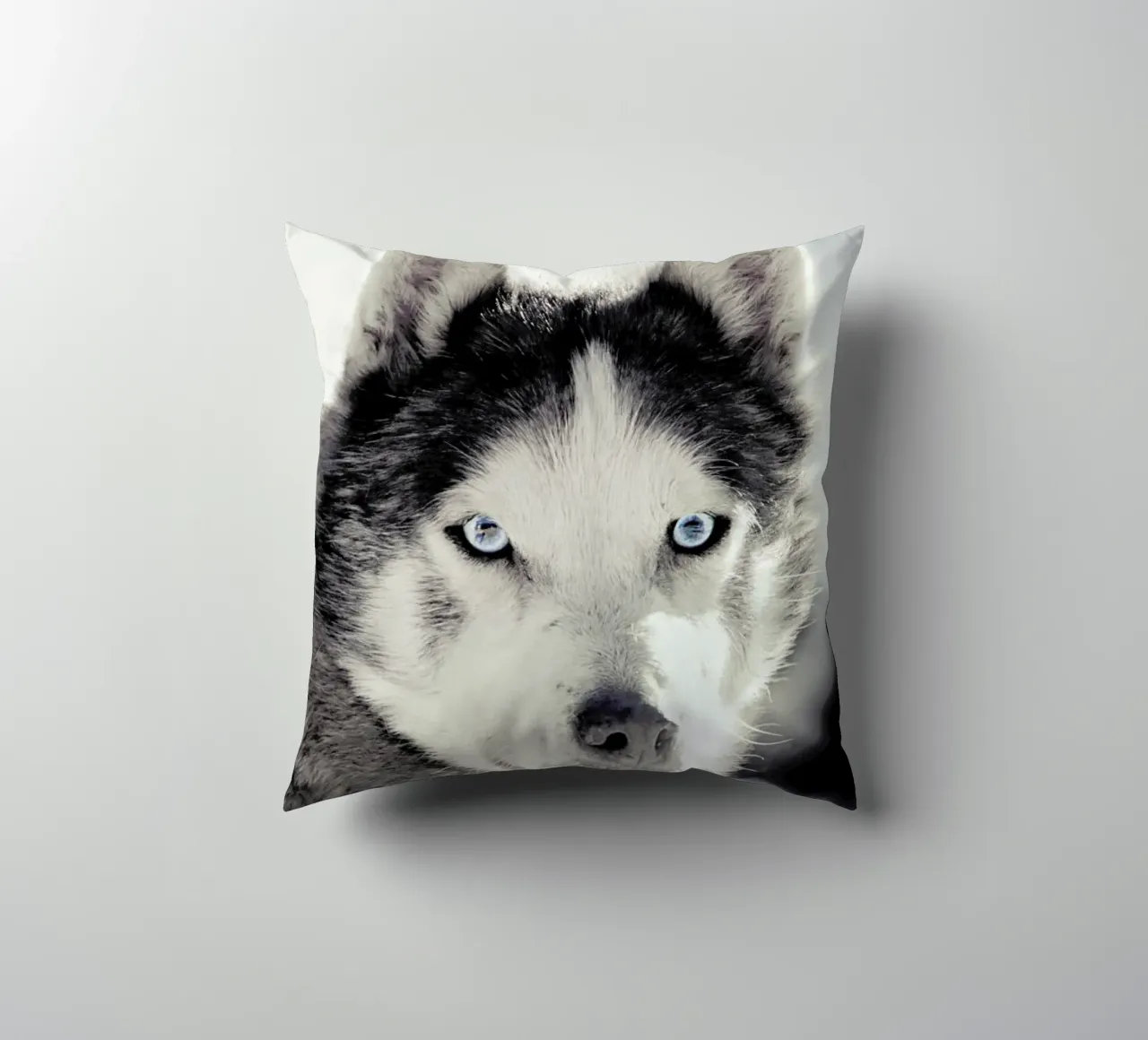 Husky cuscino da Monika Strigel