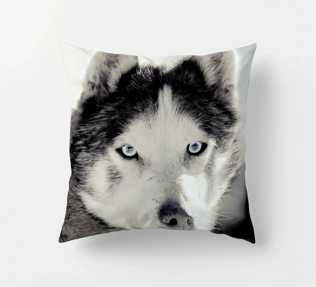Husky cuscino da Monika Strigel