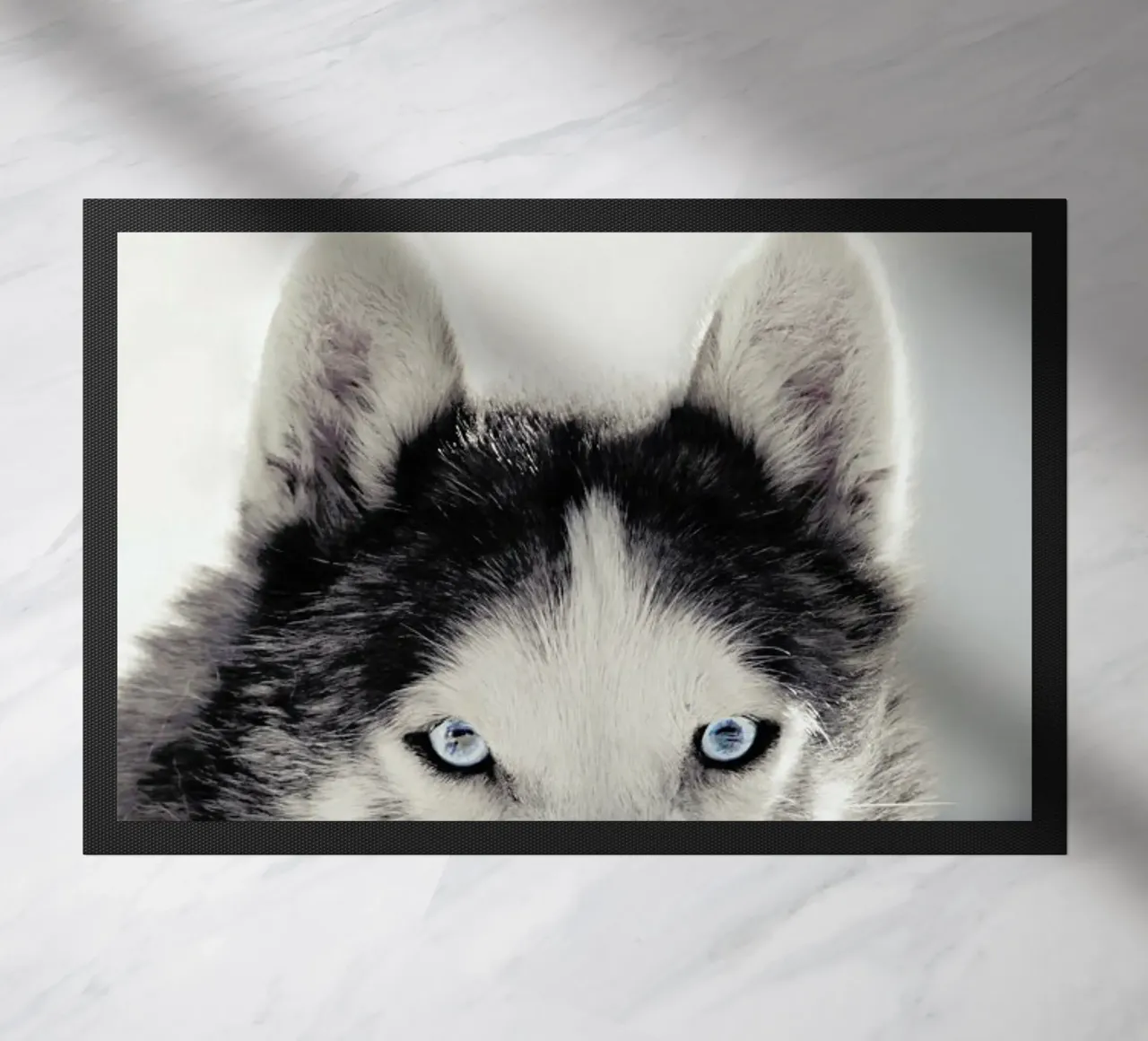 Husky zerbino da Monika Strigel