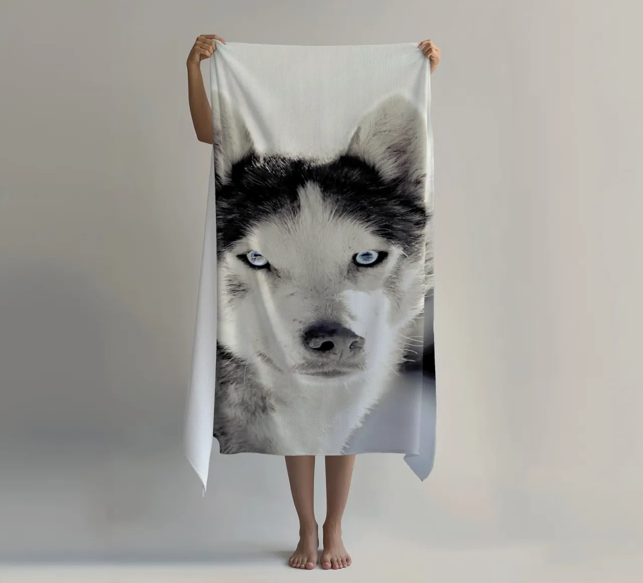 Husky beach towel by Monika Strigel