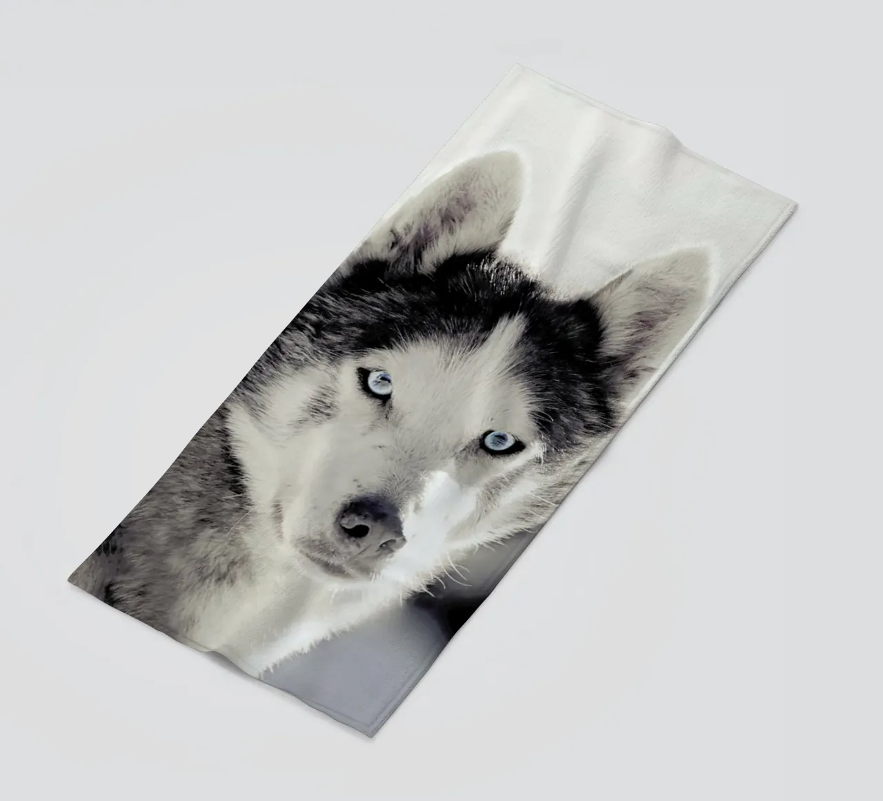 Husky beach towel by Monika Strigel
