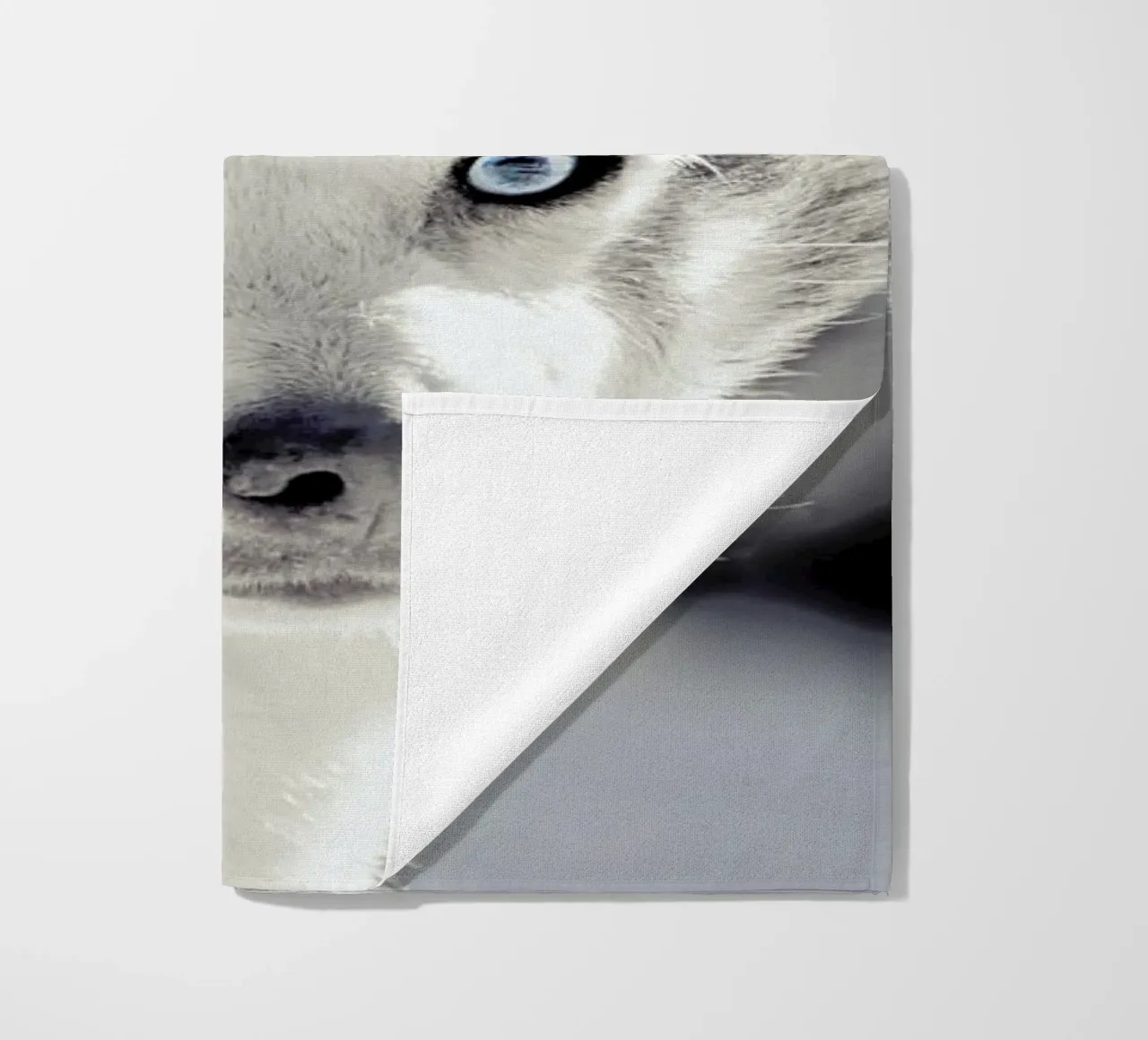 Husky beach towel by Monika Strigel