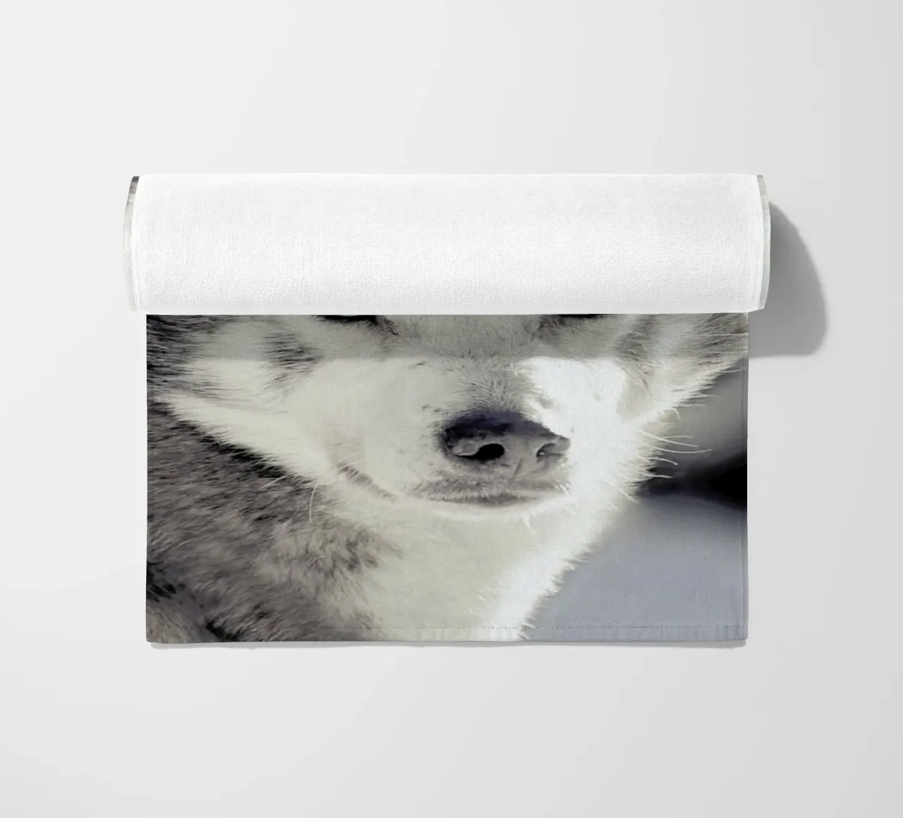 Husky beach towel by Monika Strigel