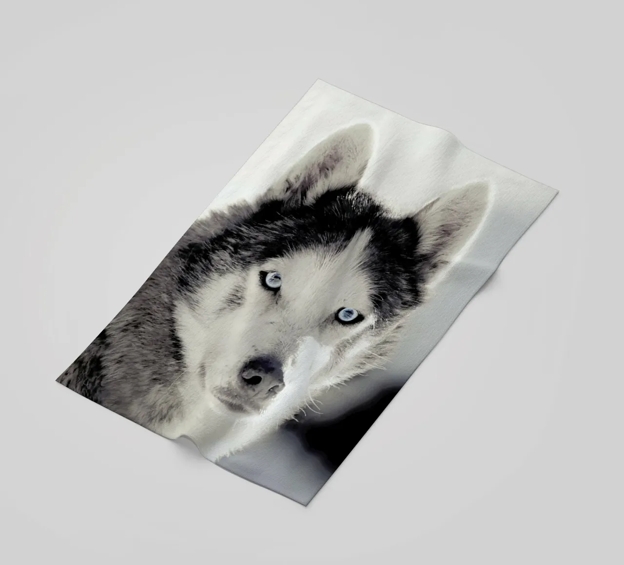 Husky beach towel by Monika Strigel