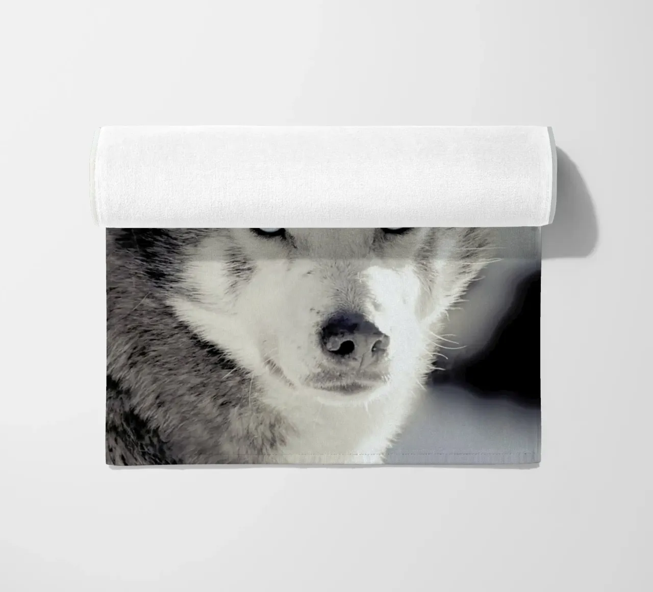 Husky beach towel by Monika Strigel