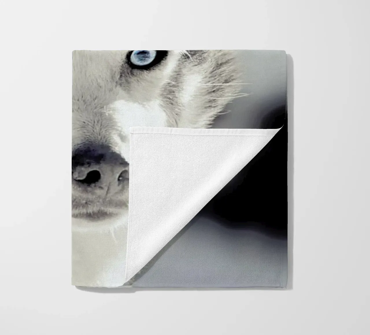 Husky beach towel by Monika Strigel
