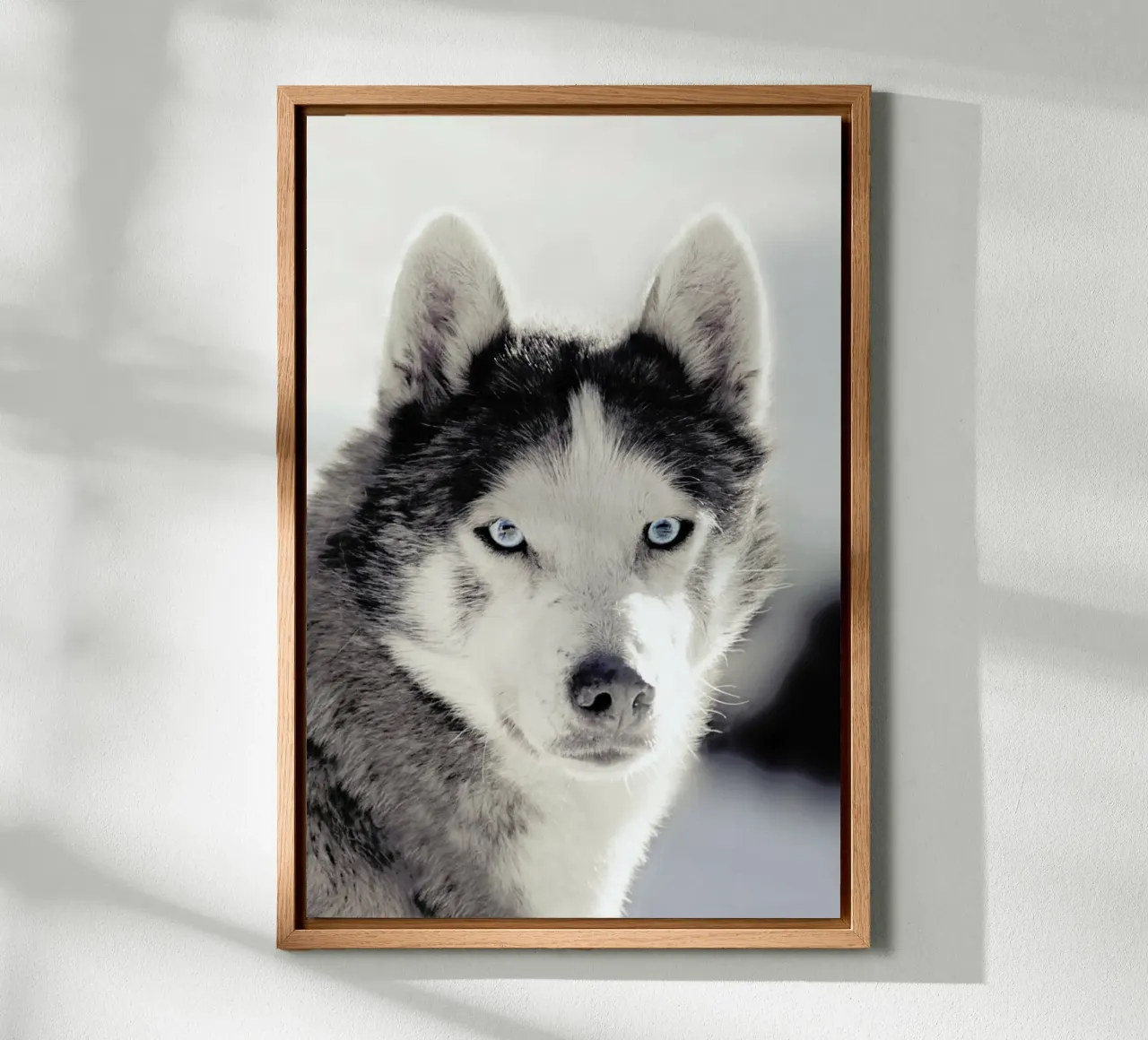 Husky tela da Monika Strigel