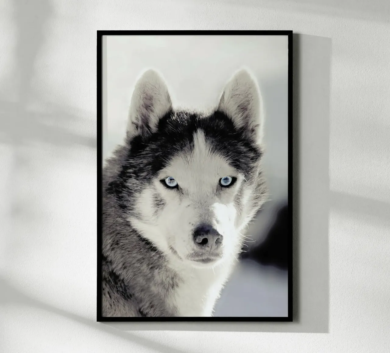Husky poster da Monika Strigel