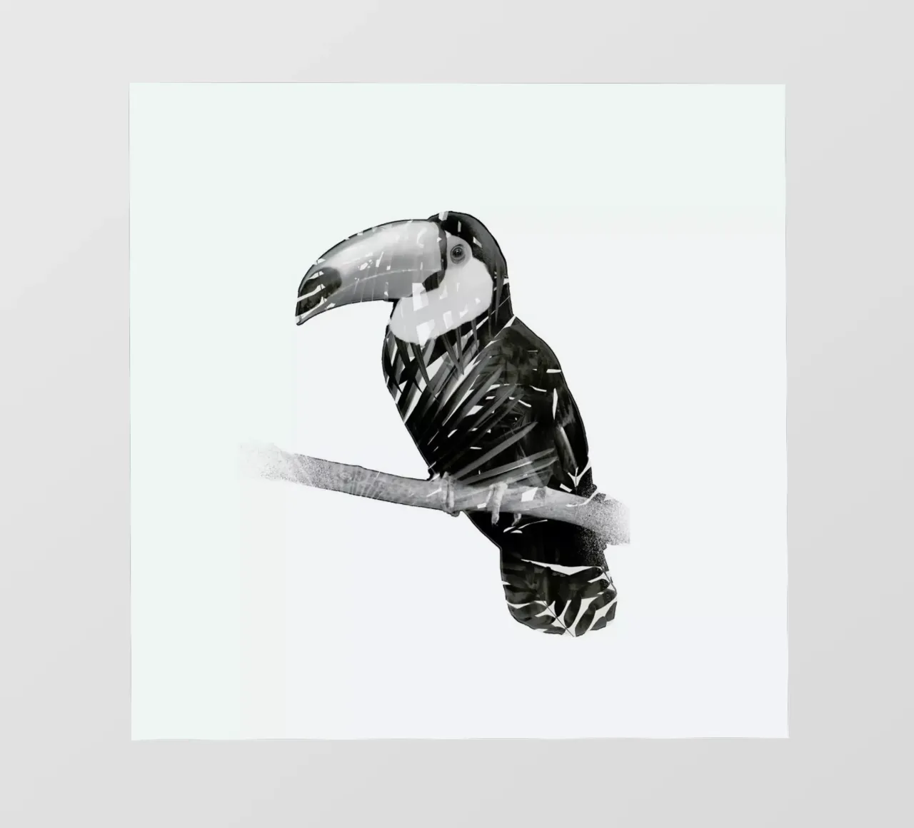 Toucan telo in pvc da Chris Wharton