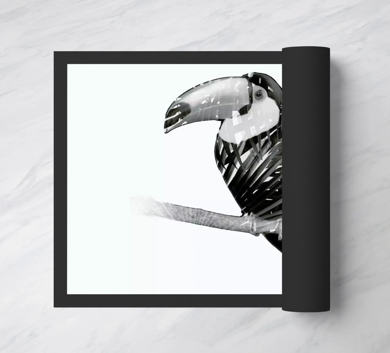 Toucan zerbino da Chris Wharton