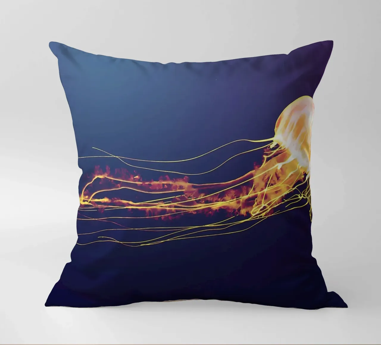 Animal poster 179 decorative cushion by Korrie Lane