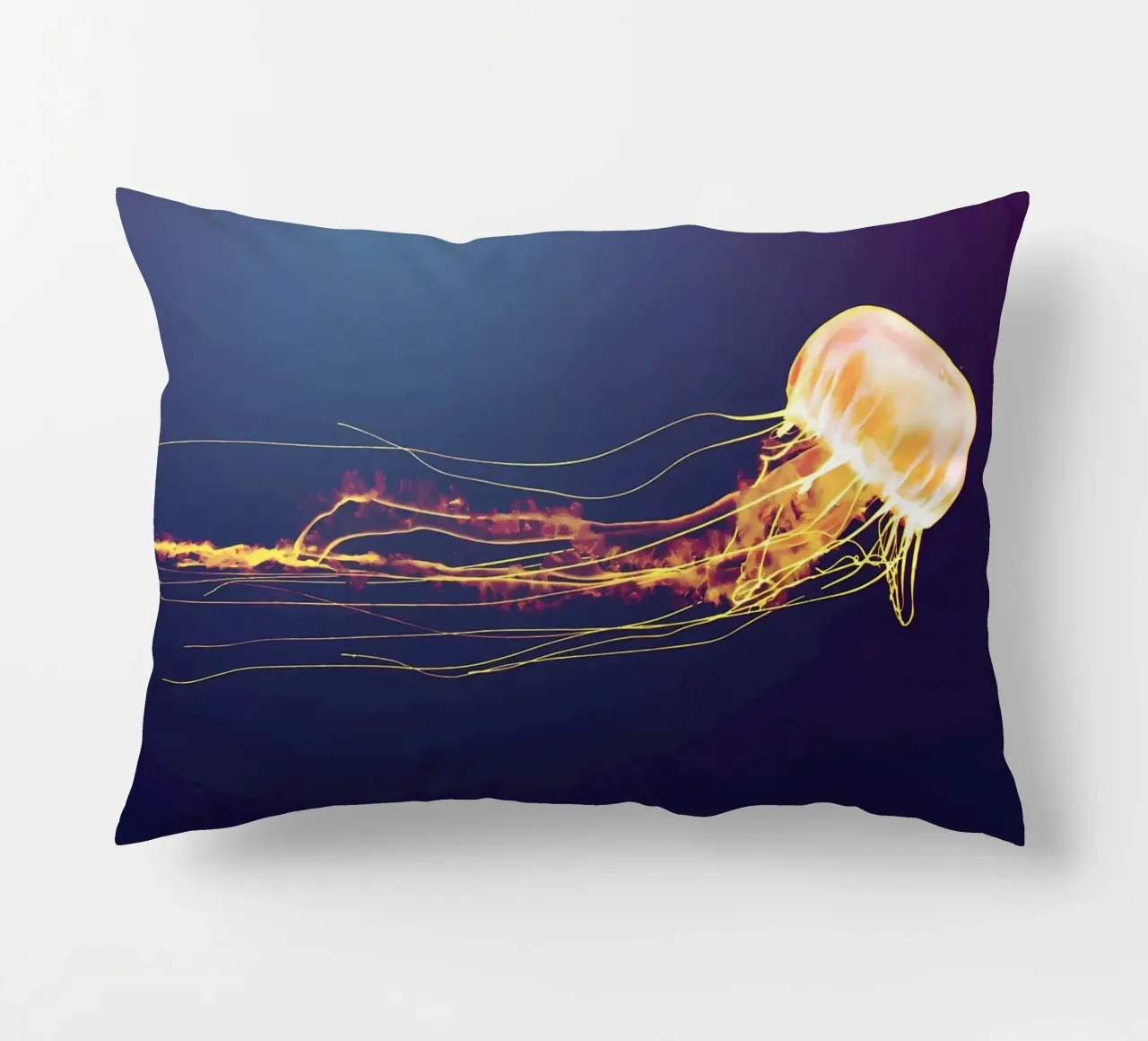 Animal poster 179 decorative cushion by Korrie Lane