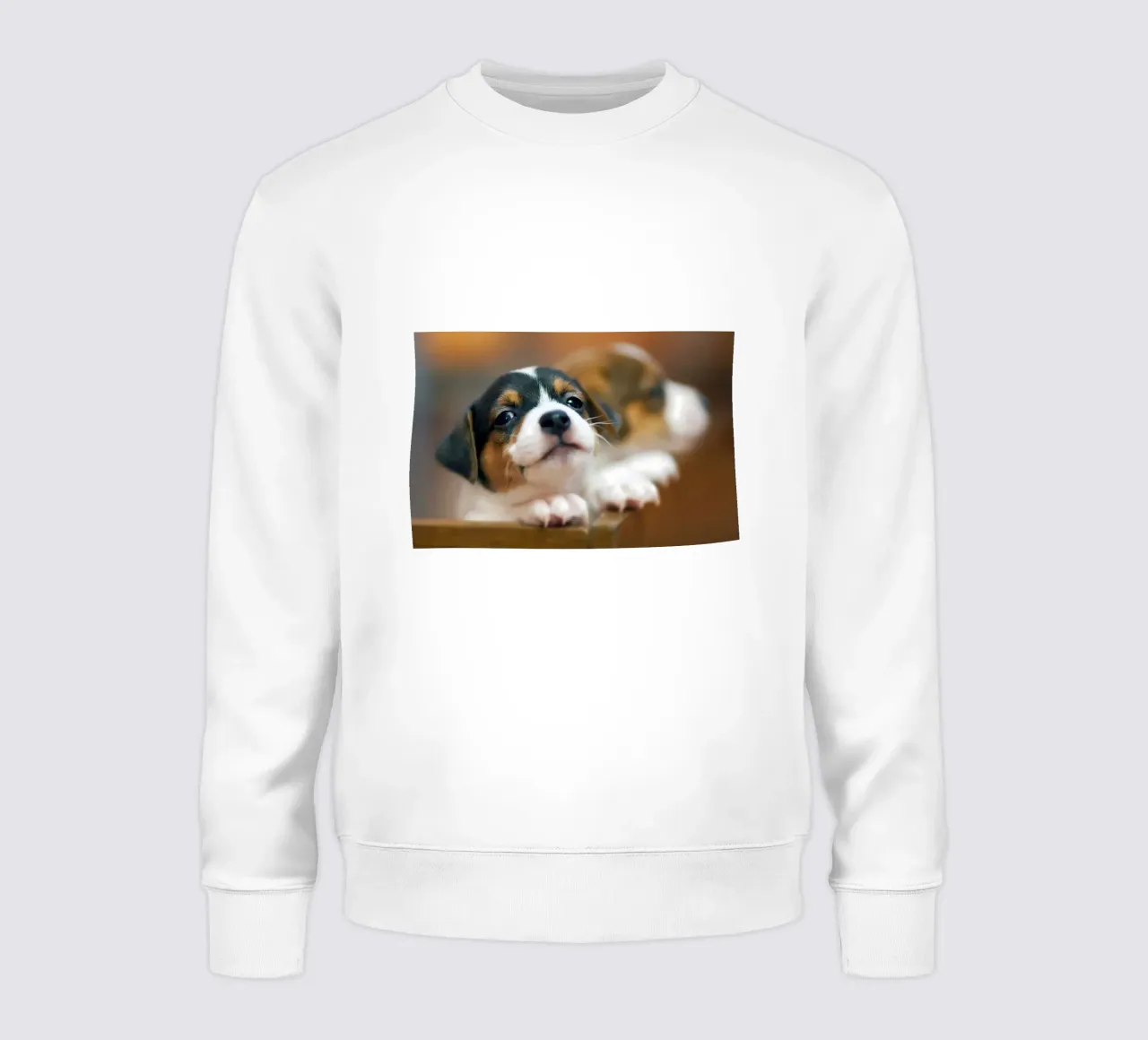 Animal poster 187 sweatshirt by Korrie Lane
