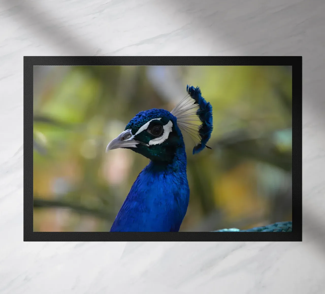 Dierenposter 191 deurmat van Korrie Lane