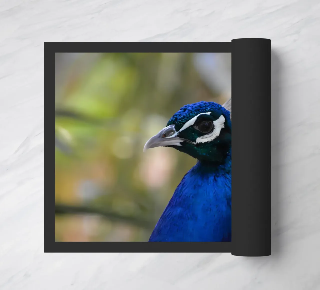 Dierenposter 191 deurmat van Korrie Lane