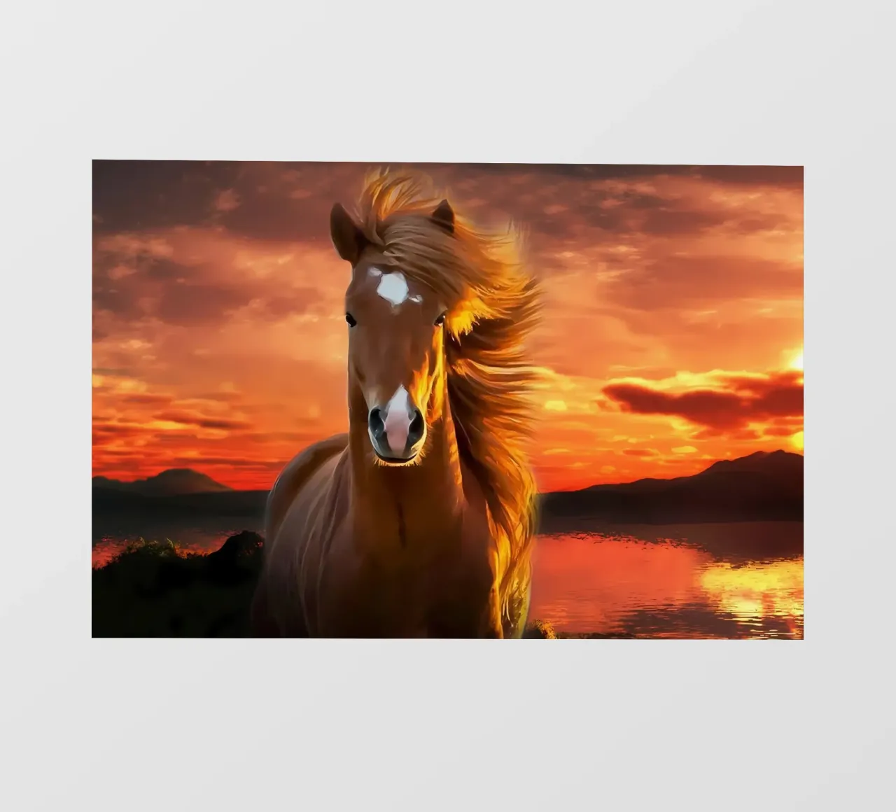 Poster animali 198 pellicola backlit da Korrie Lane