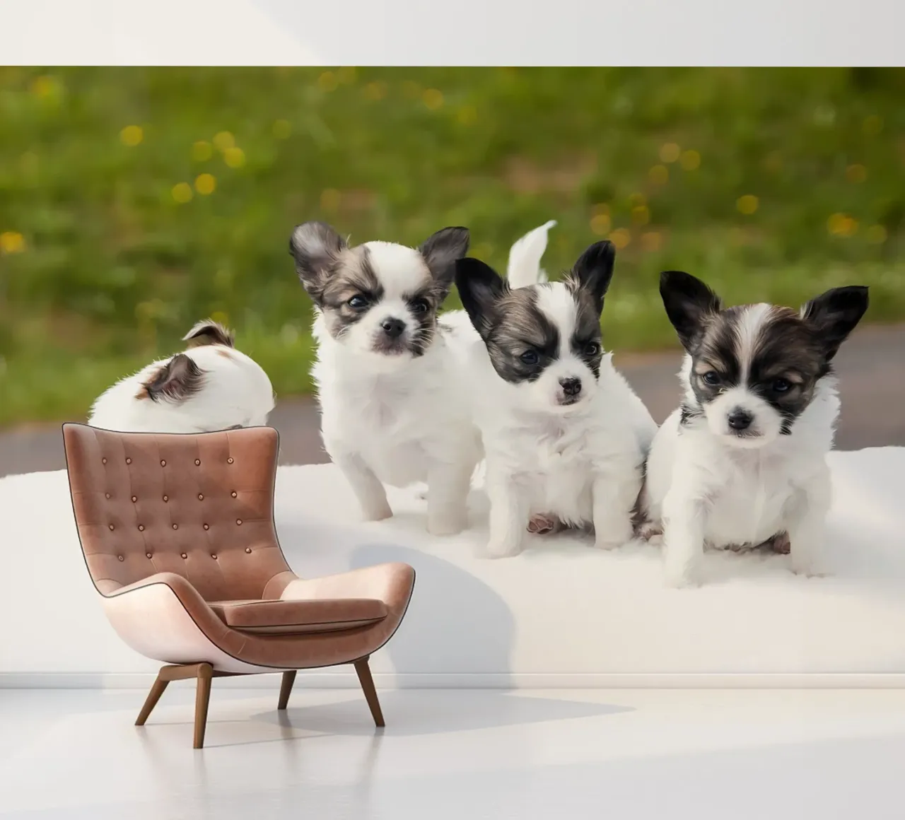 Animal poster 219 photo wallpaper by Korrie Lane