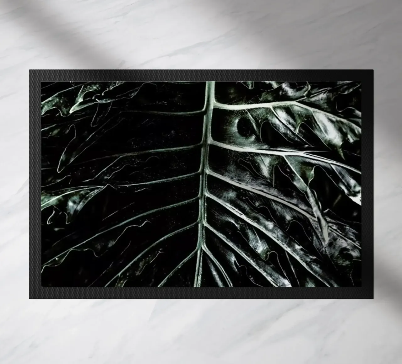 Jungle zerbino da Shot By Clint