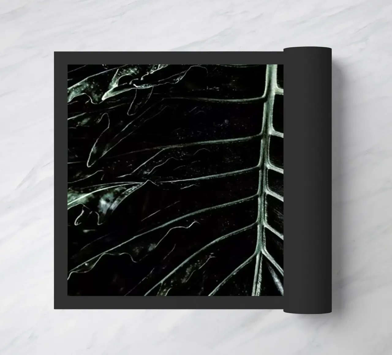 Jungle zerbino da Shot By Clint