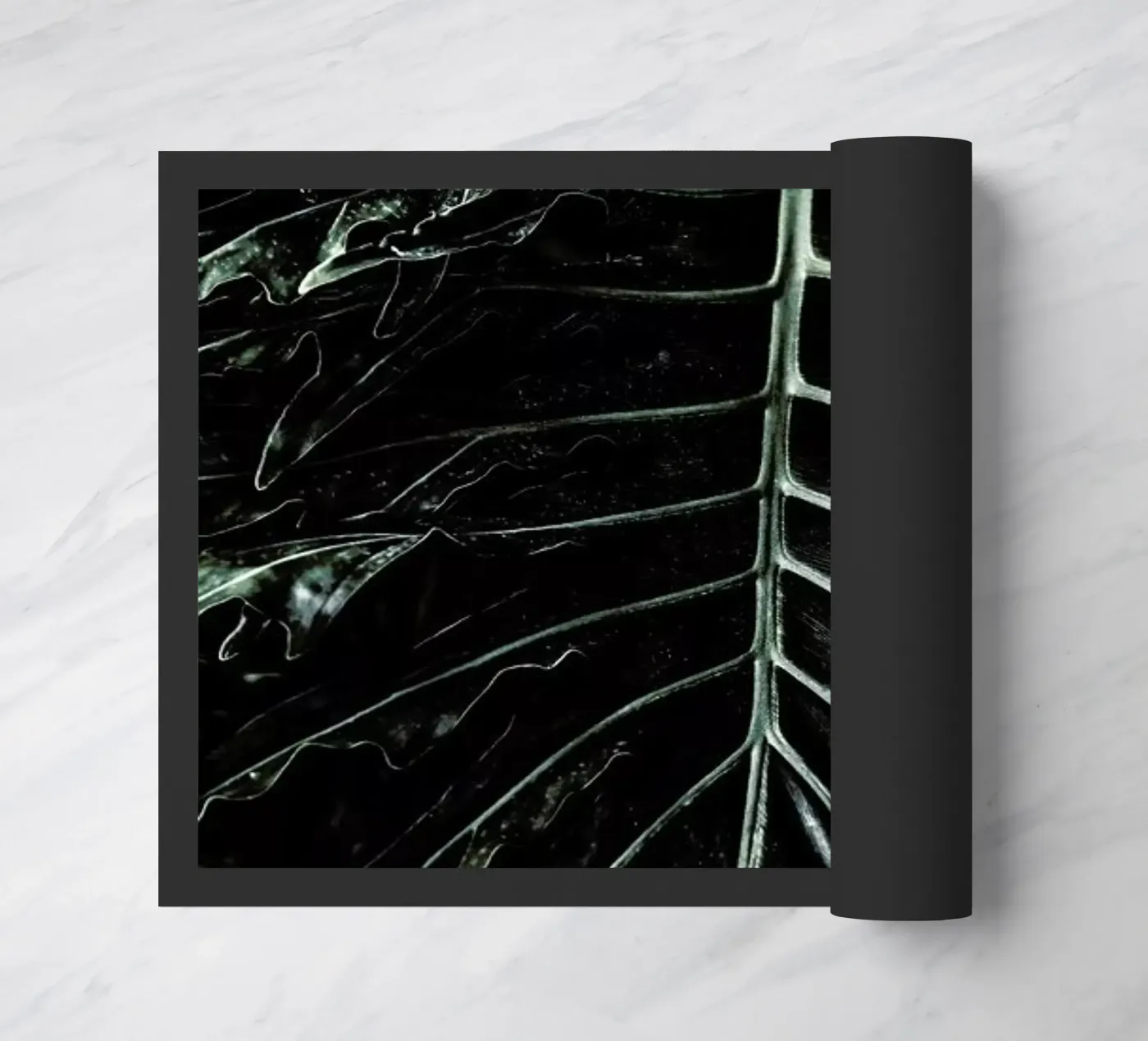 Jungle doormat by Shot By Clint