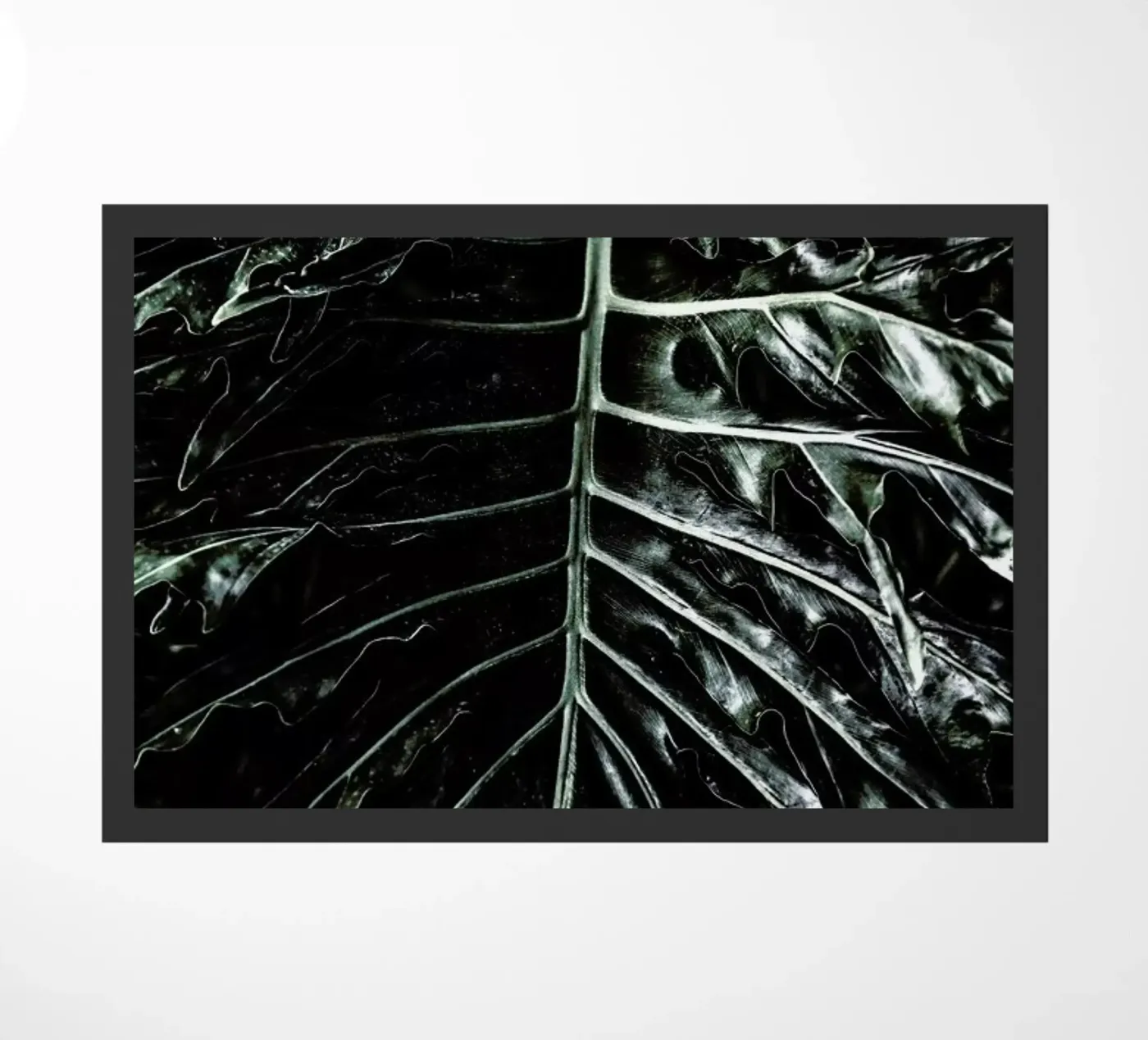 Jungle doormat by Shot By Clint