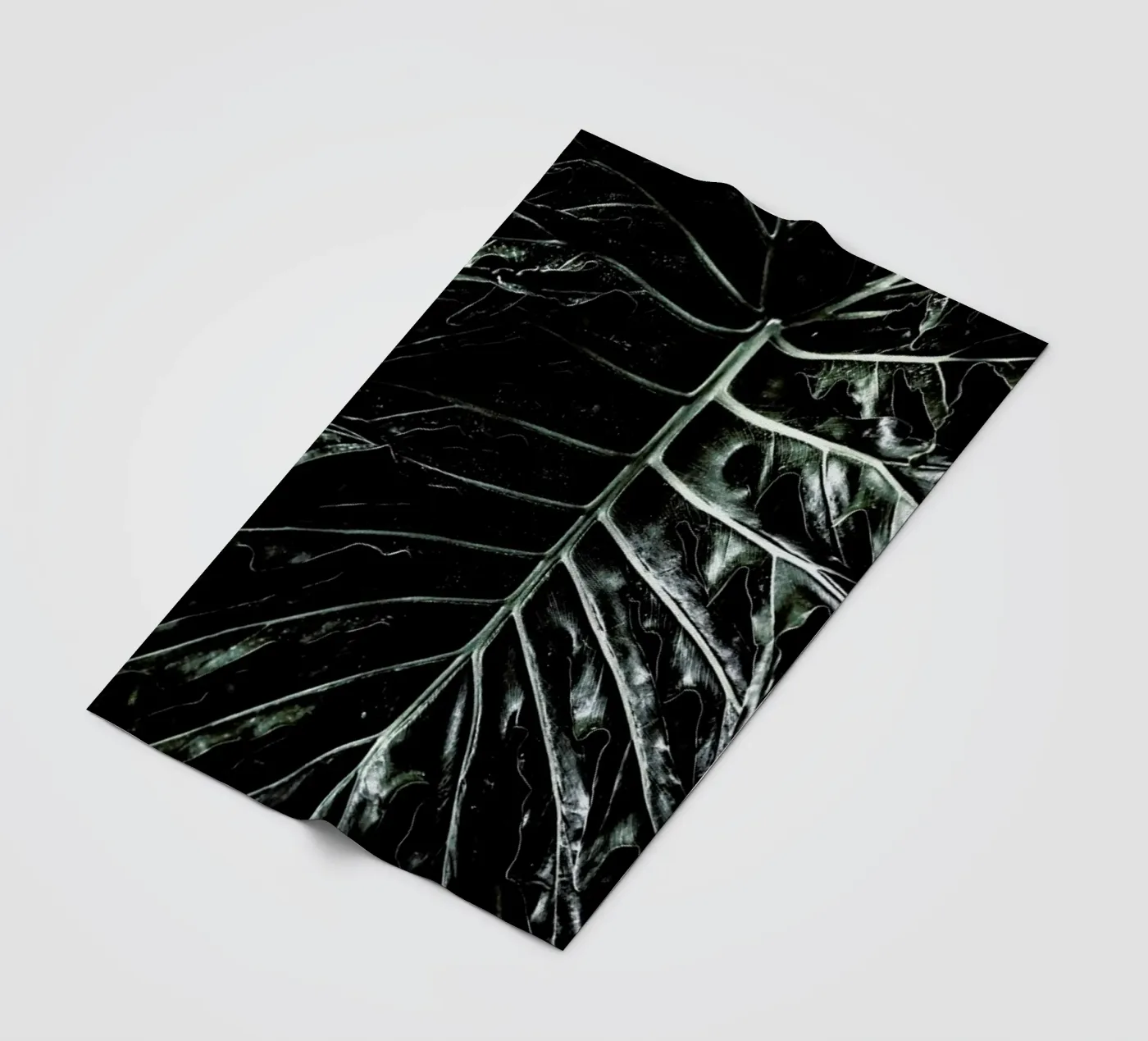 Jungle fleecedeken van Shot By Clint