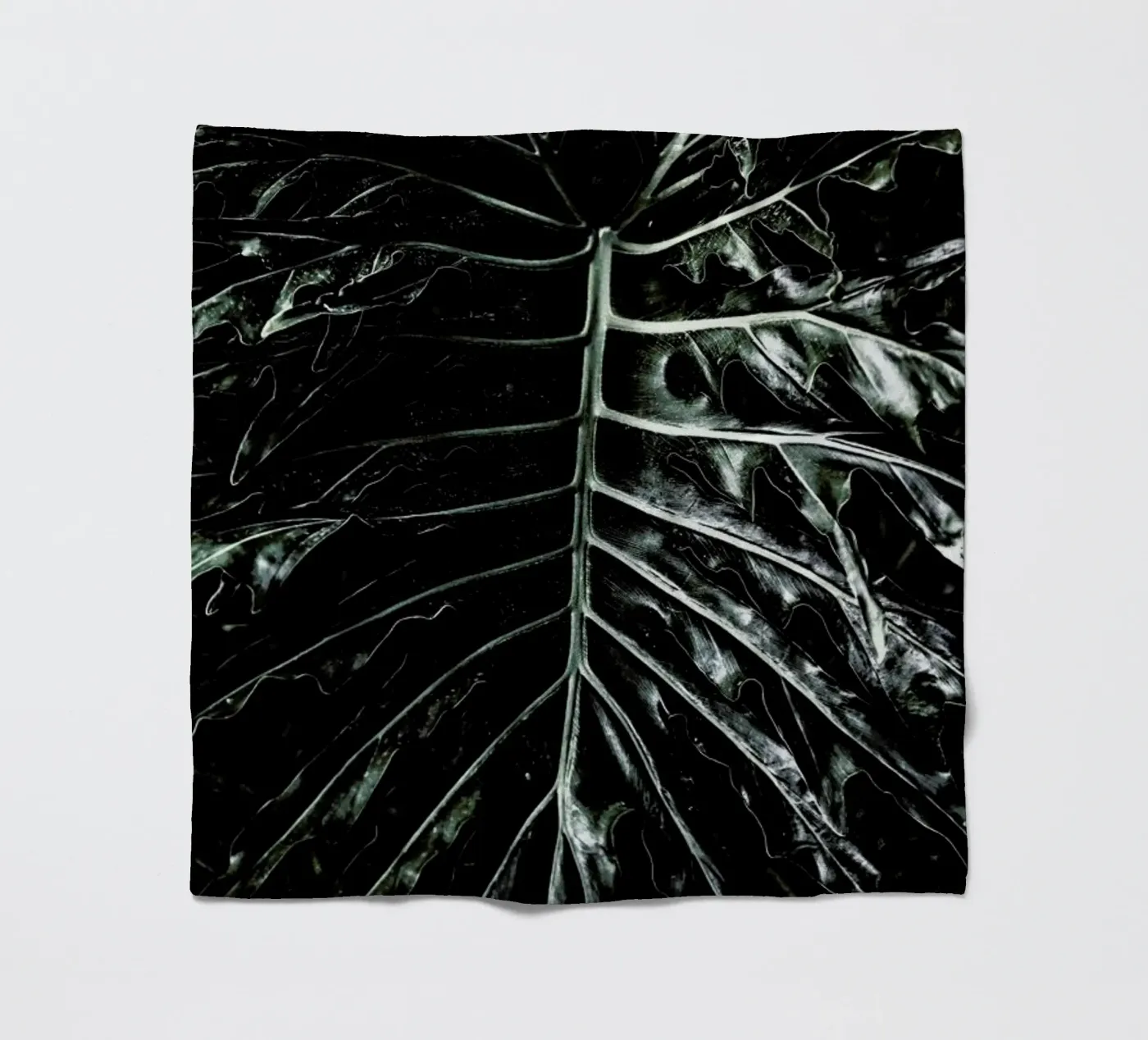 Jungle Fleecedecke von Shot By Clint