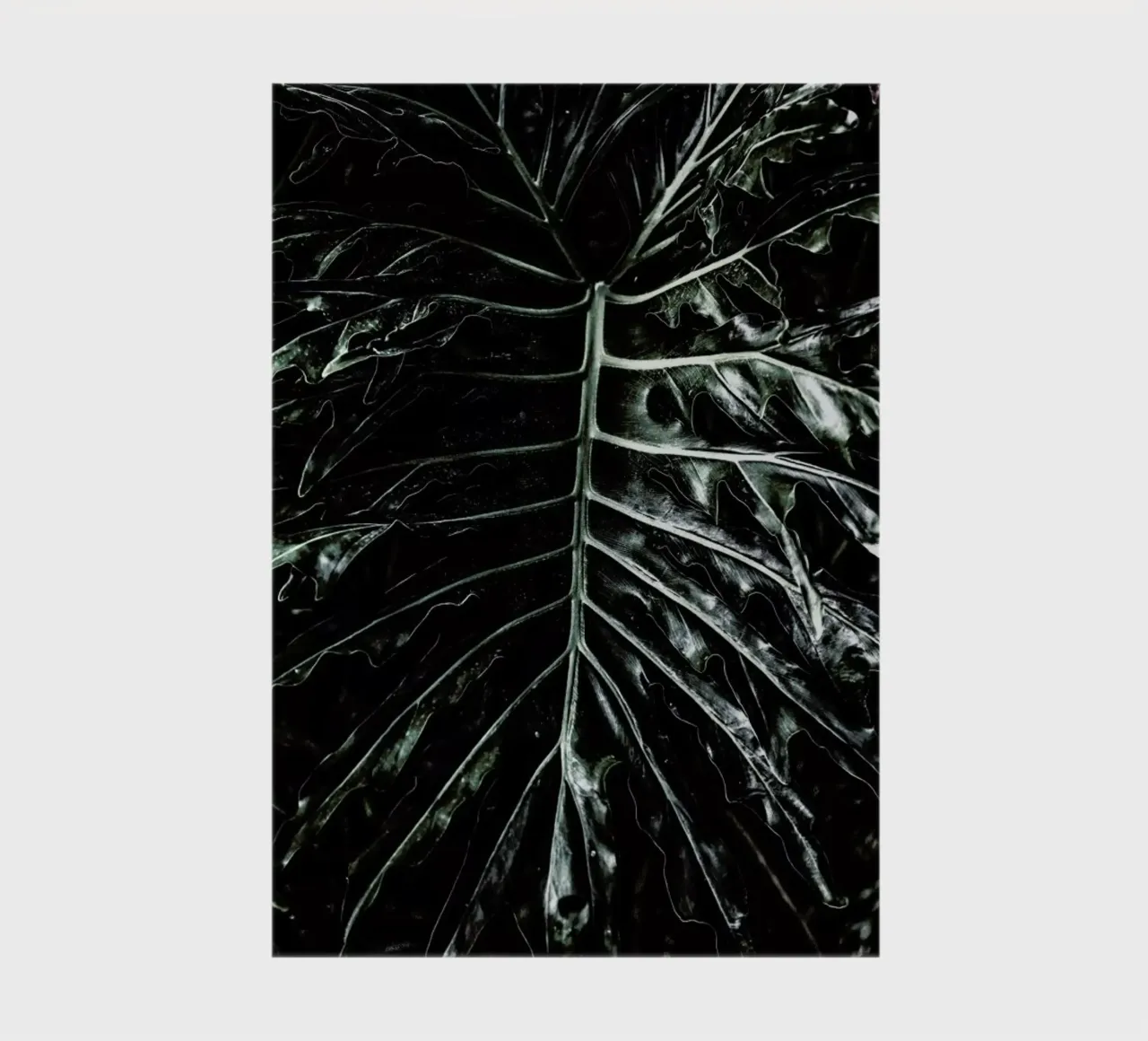 Jungle notebook by Shot By Clint