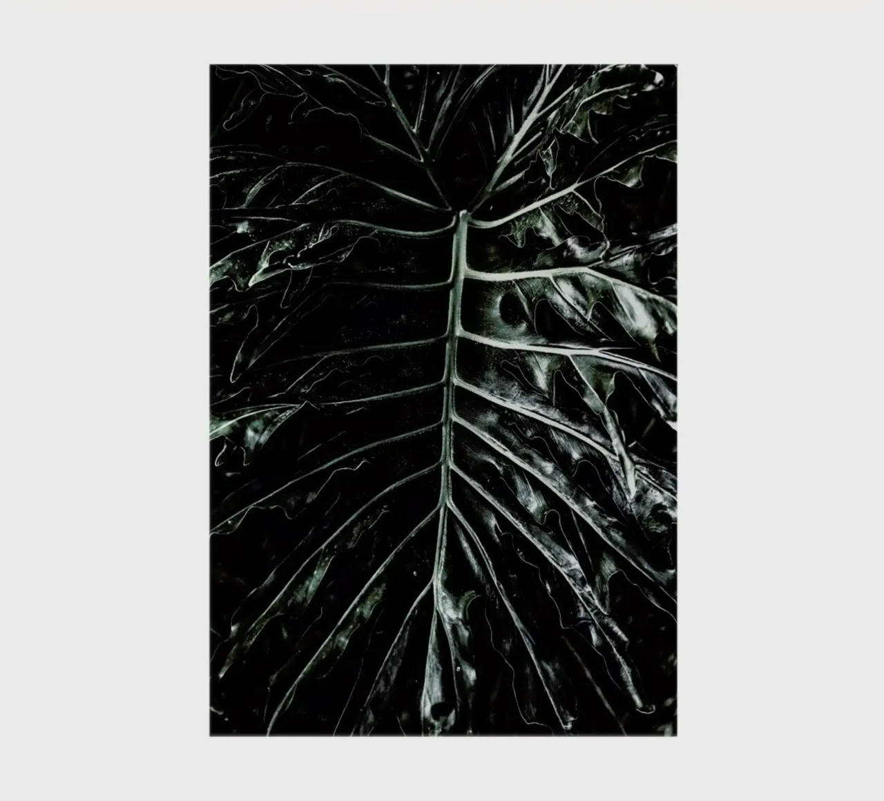 Jungle notebook by Shot By Clint