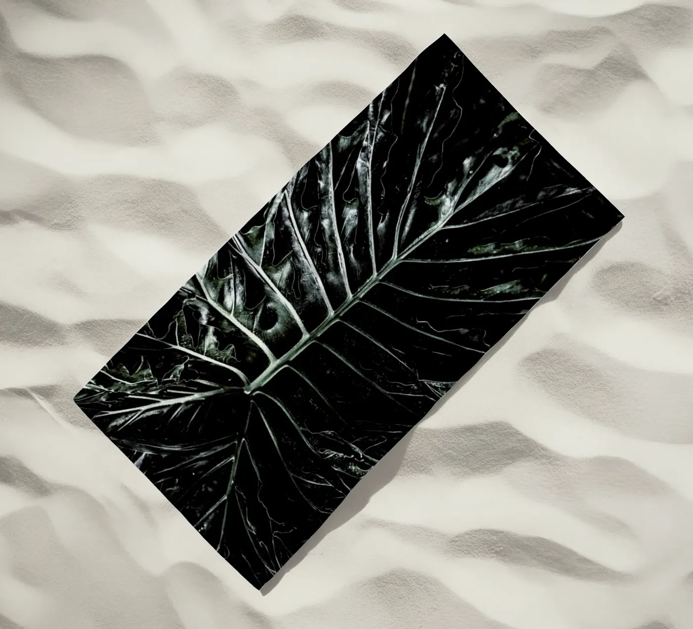 Jungle telo mare da Shot By Clint