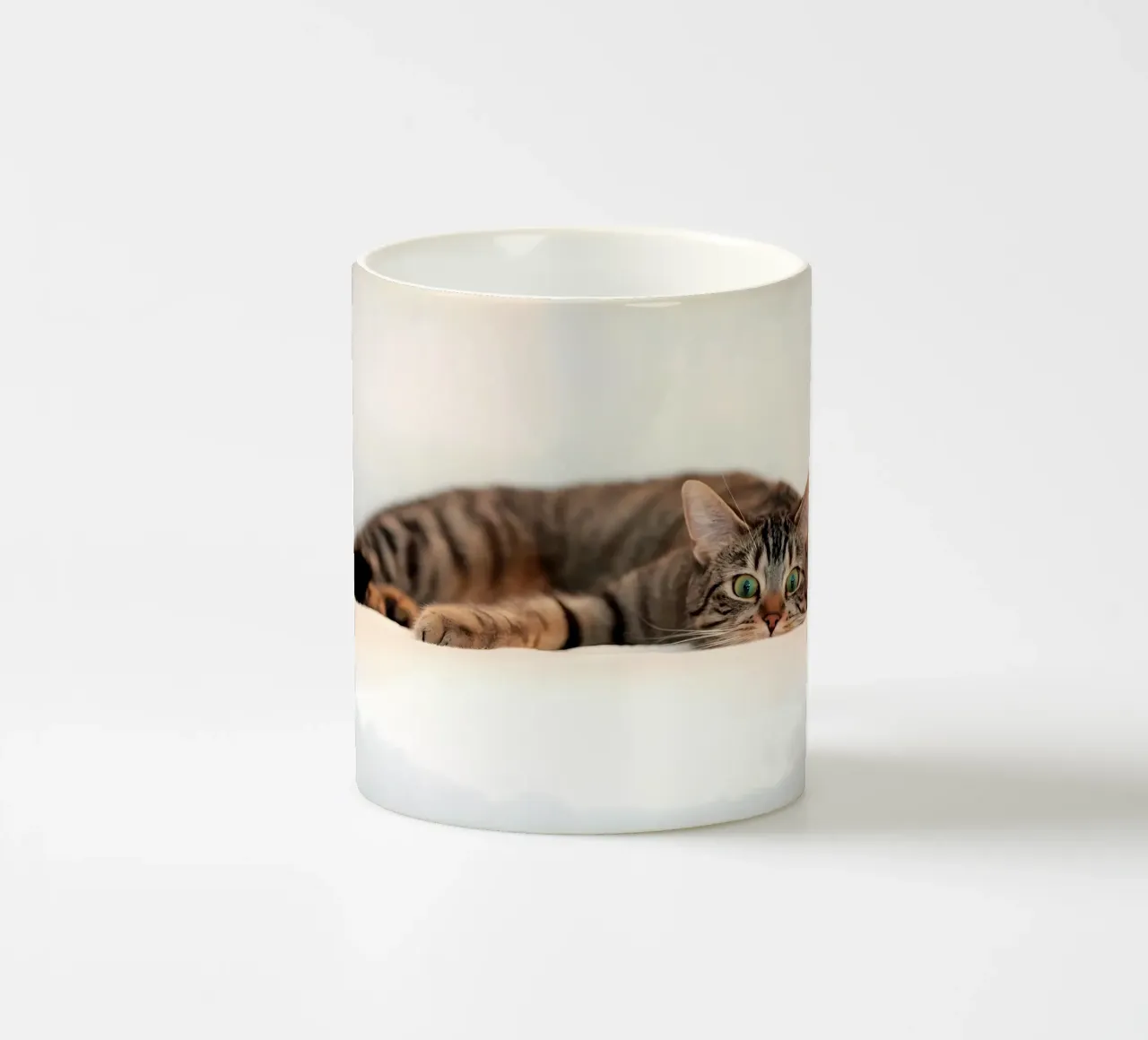 Animal poster 222 ceramic mug by Korrie Lane