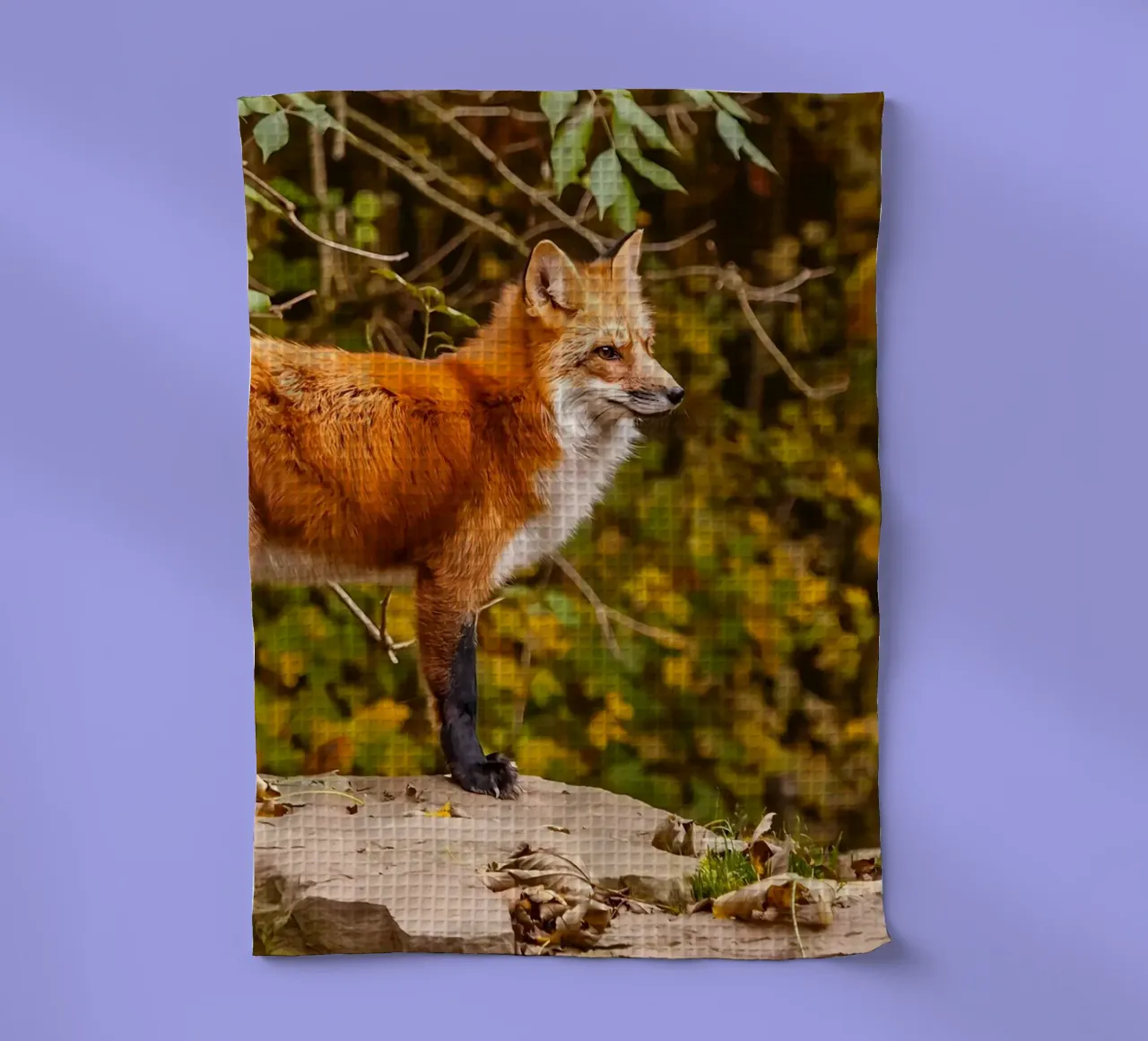 Poster animali 227 canovaccio da cucina da Korrie Lane