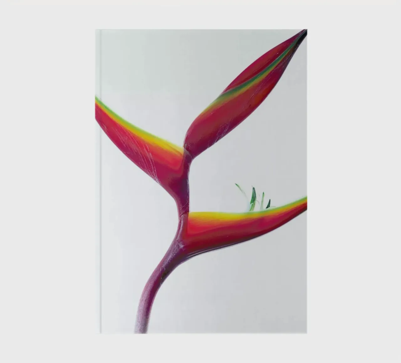 Tropical Heat 05 notebook by Shot By Clint