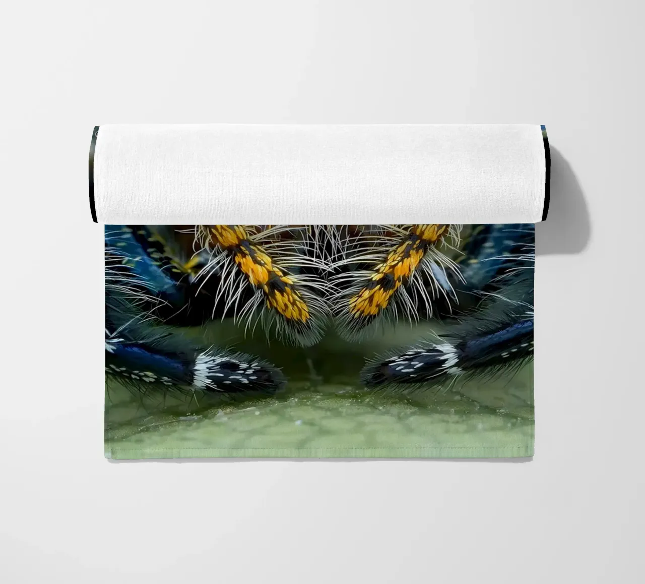 Poster animali 229 telo mare da Korrie Lane