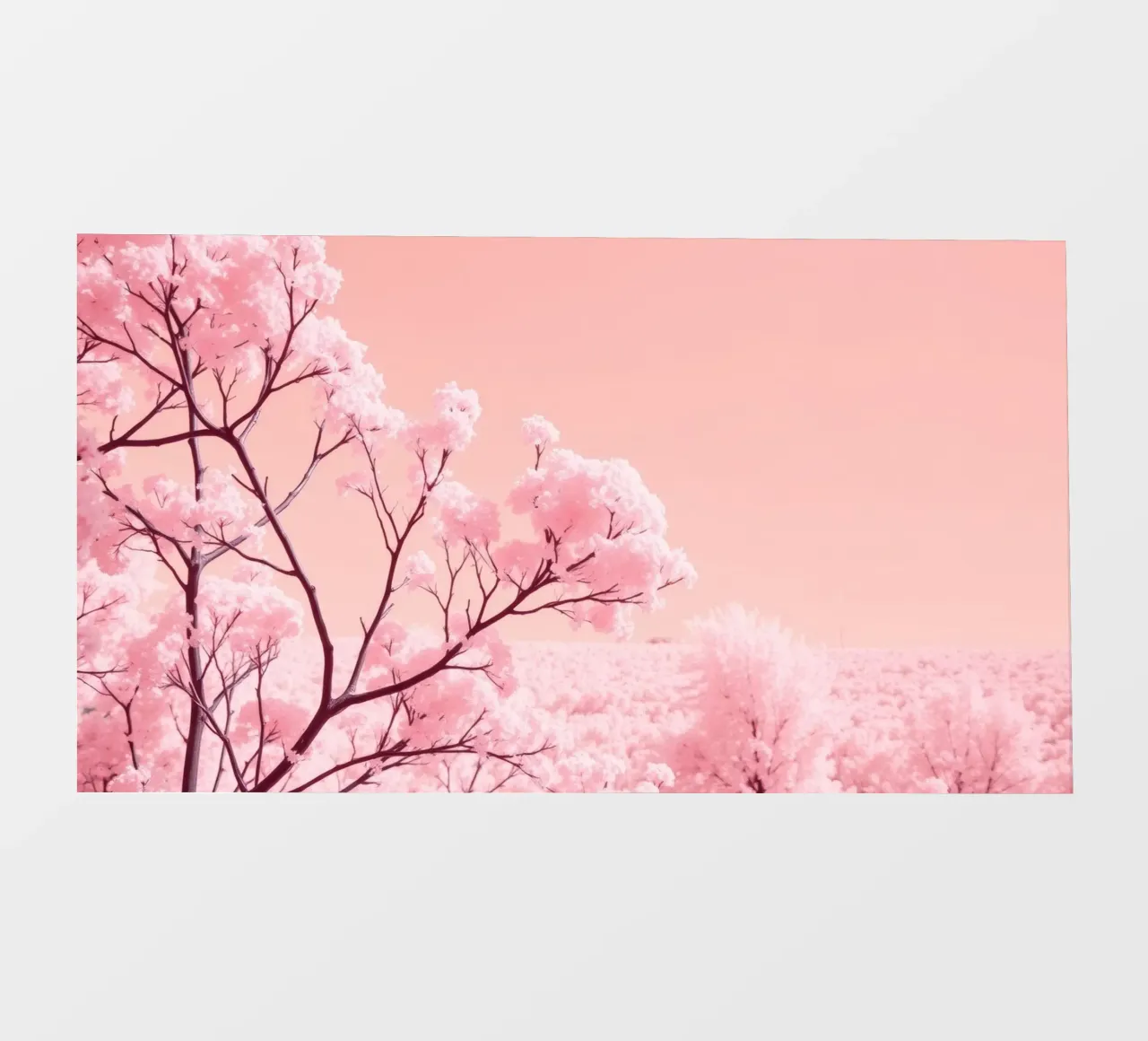 Blossoming pink trees under a pastel sky photo wallpaper by DesignDoodle