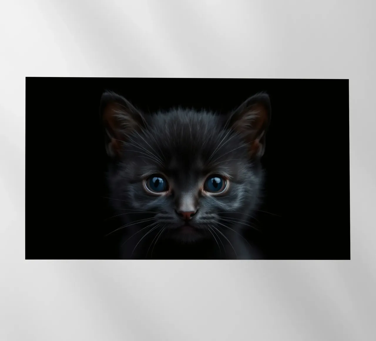Misterioso gattino nero con sorprendenti occhi azzurri che guarda fisso pellicola backlit da DesignDoodle