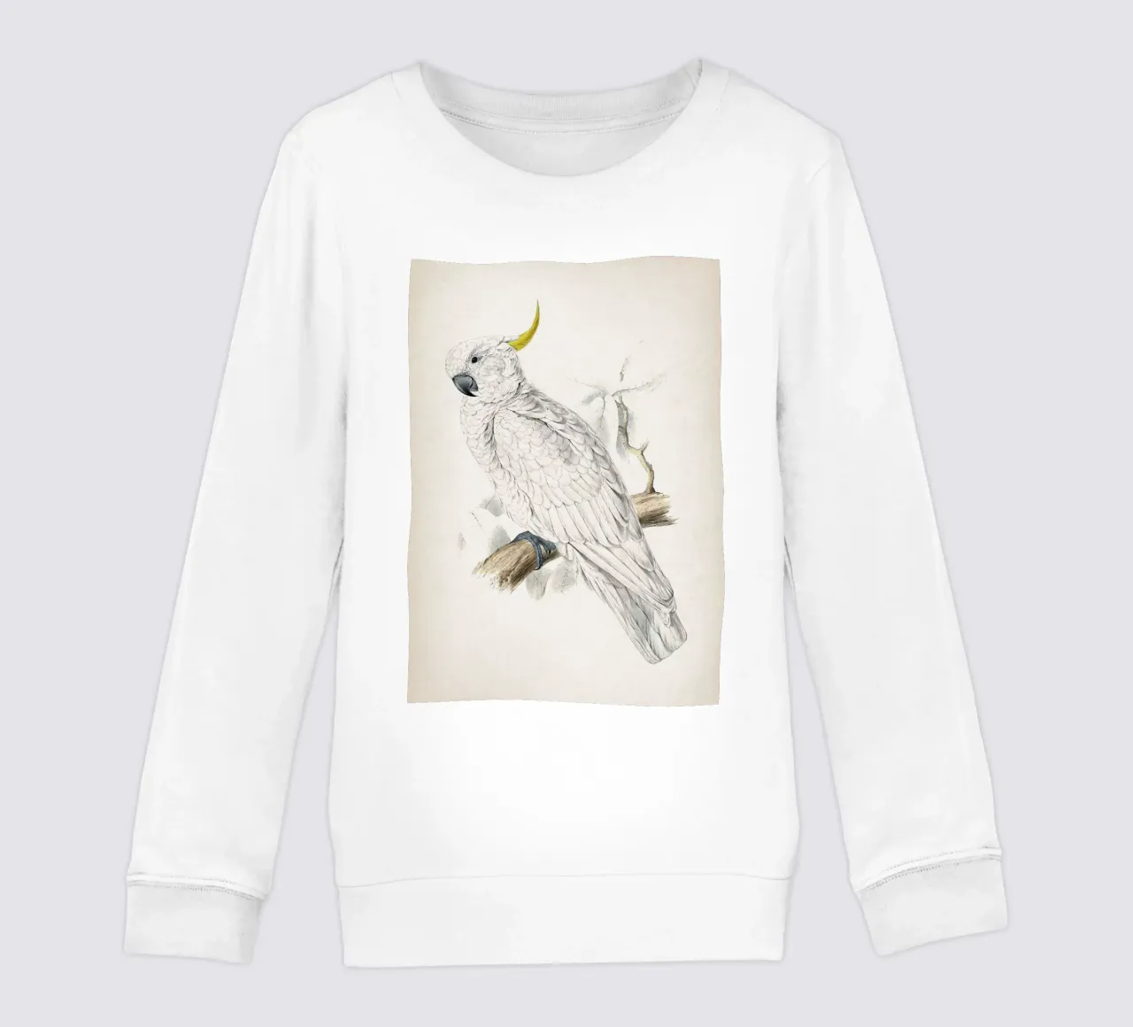 Vintage Lear 1 Plyctolophus Galeritus kids sweatshirt by Vintage Print Collection
