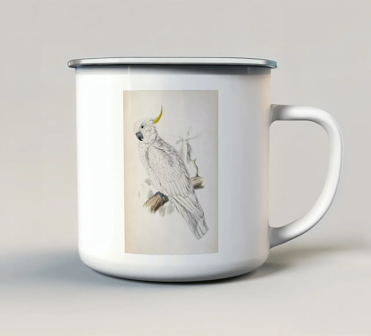 Vintage Lear 1 Plyctolophus Galeritus tazza in smalto da Vintage Print Collection