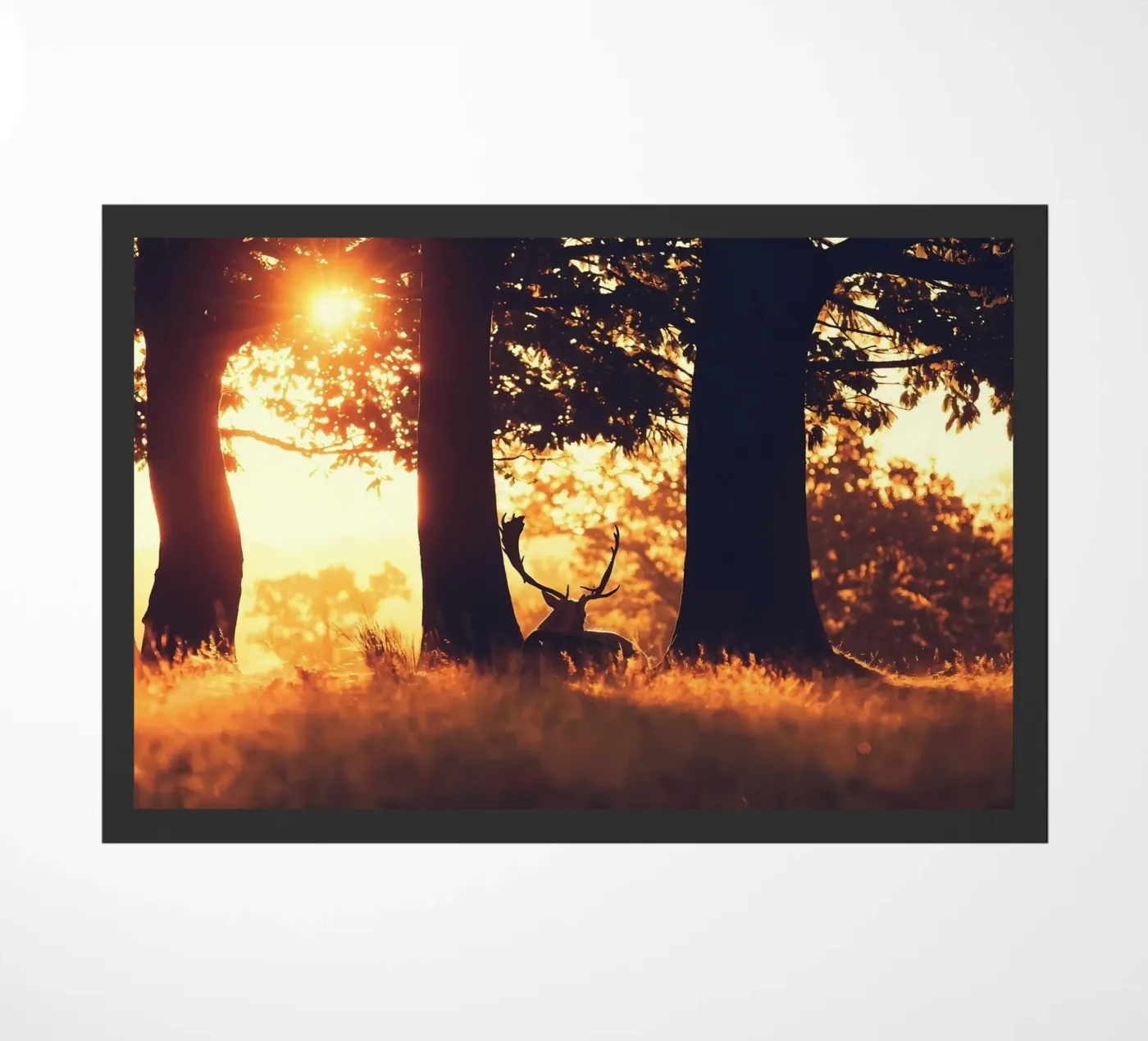 Dierenposter 243 deurmat van Korrie Lane