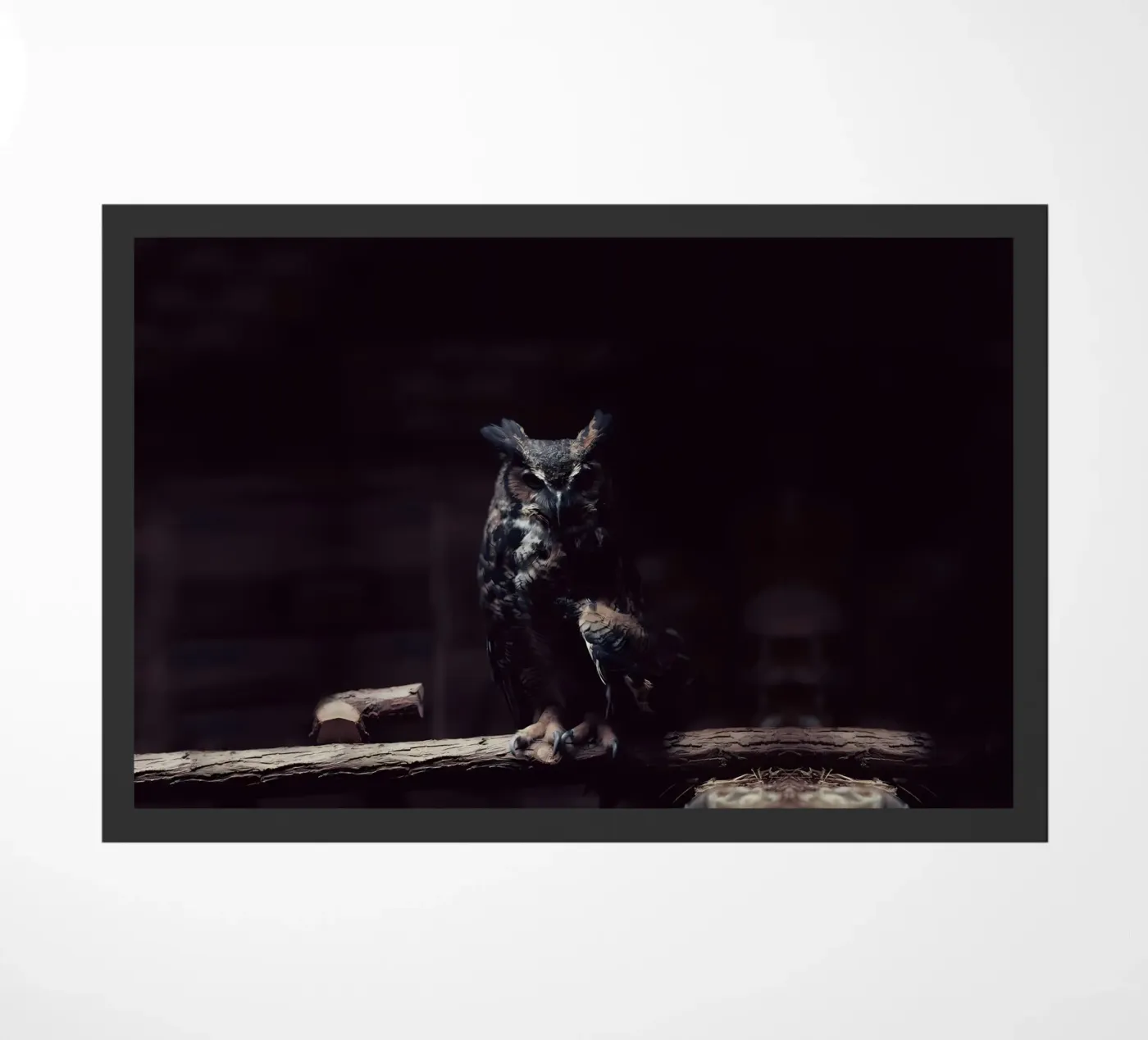 Dierenposter 248 deurmat van Korrie Lane