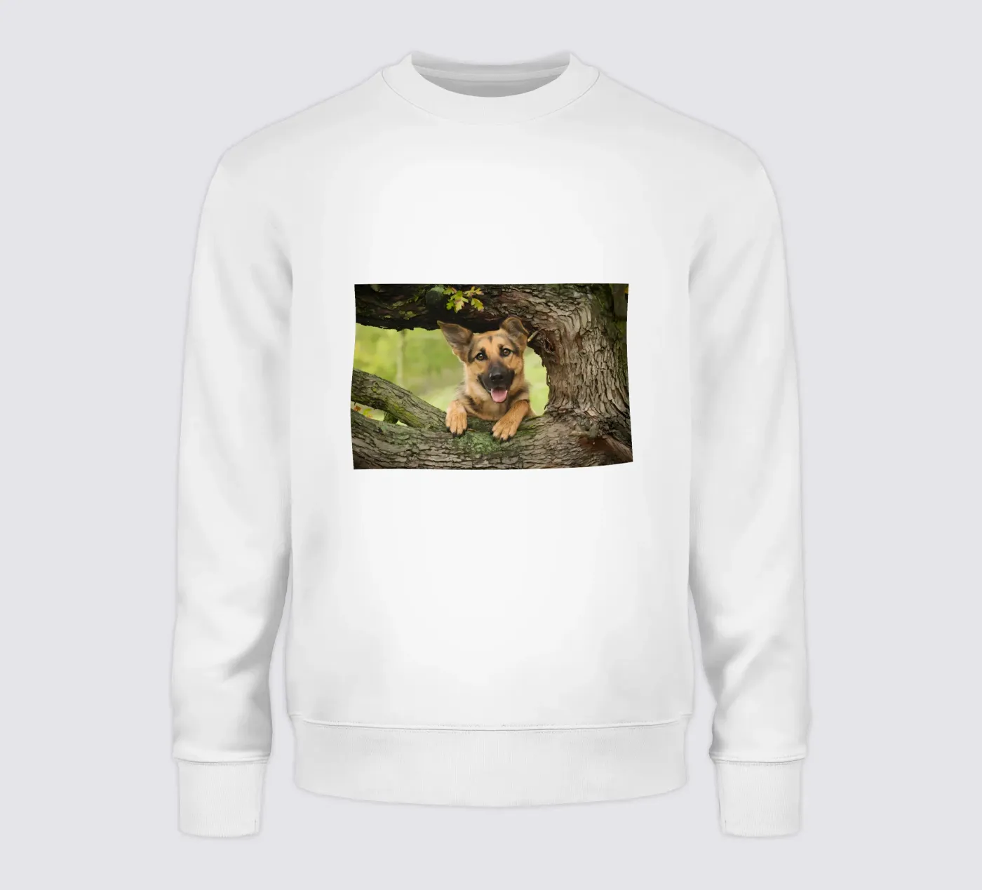 Animal poster 252 sweatshirt van Korrie Lane