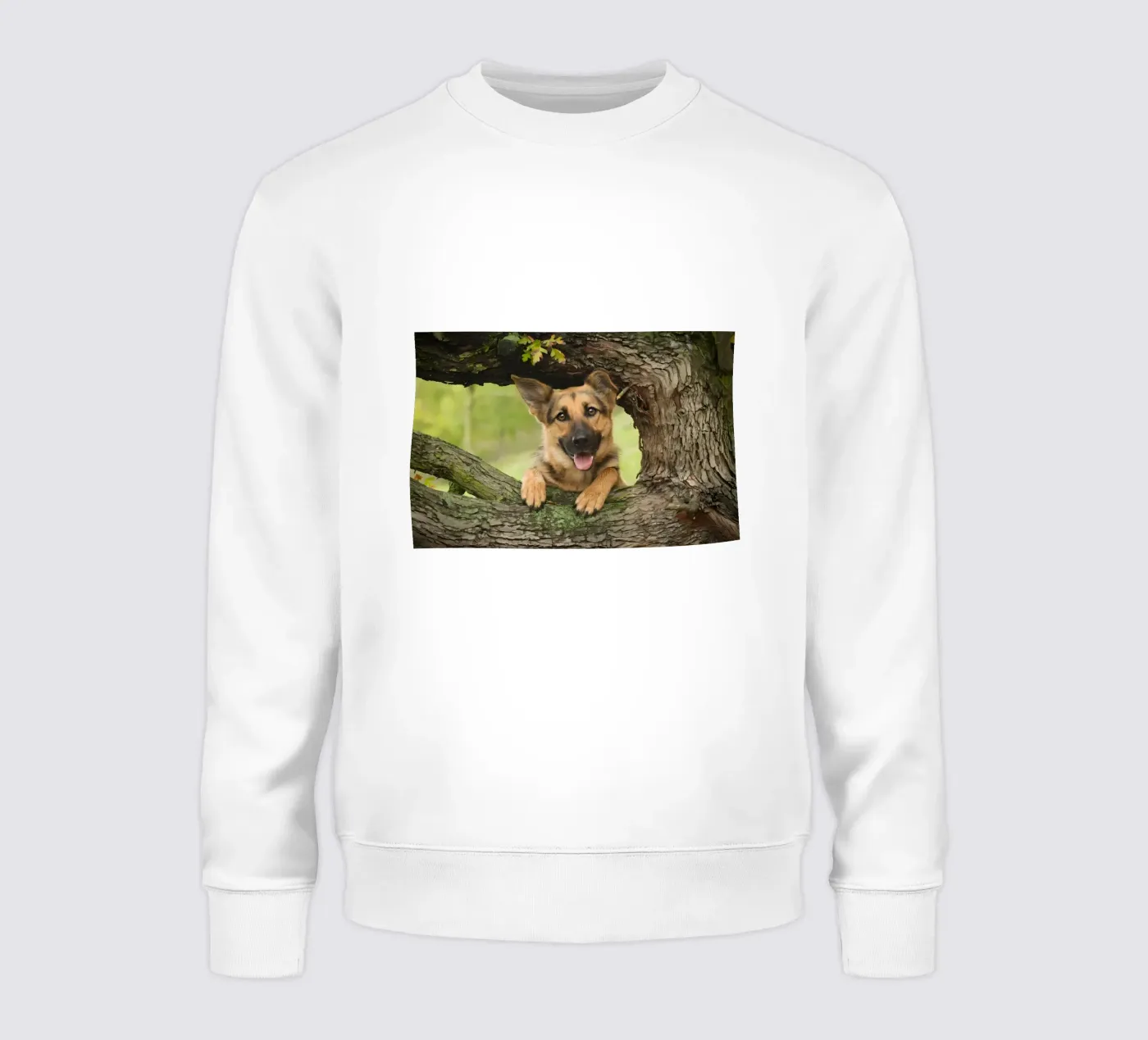 Animal poster 252 sweatshirt van Korrie Lane