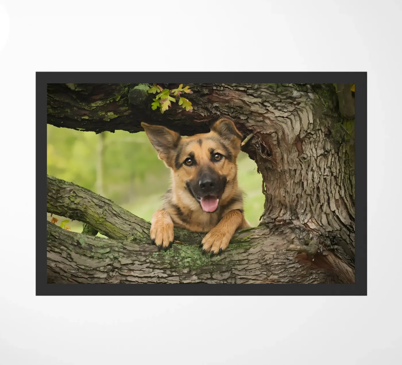 Animal poster 252 doormat by Korrie Lane