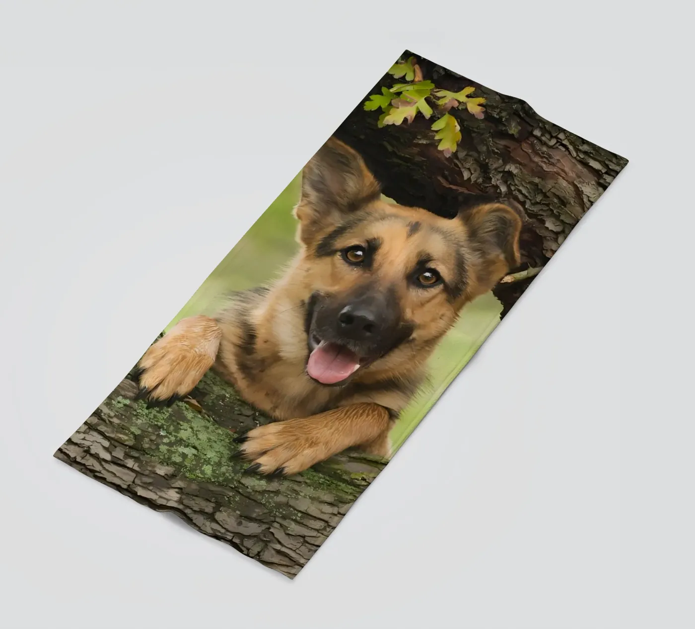 Dierenposter 252 strandhanddoek van Korrie Lane