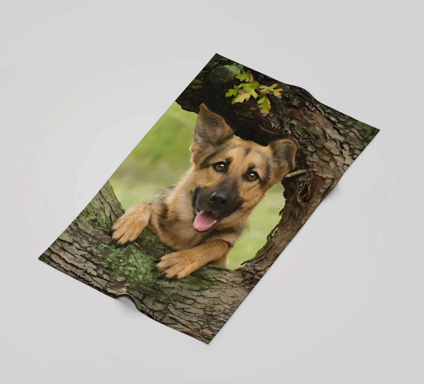 Dierenposter 252 strandhanddoek van Korrie Lane