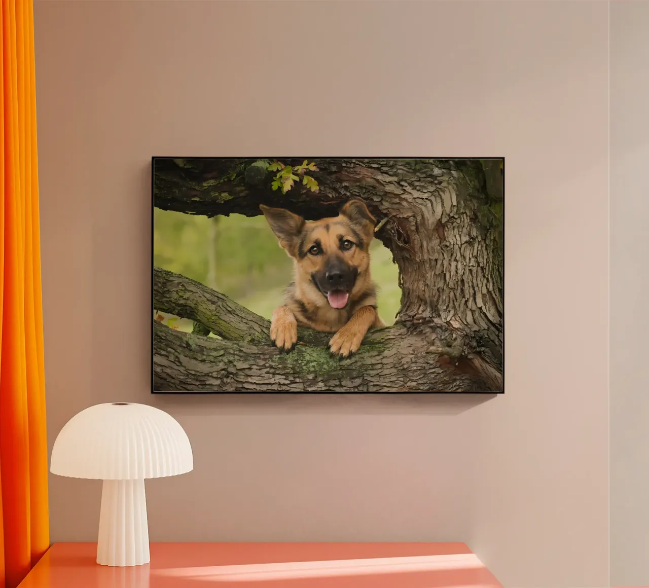 Poster animali 252 plexiglass da Korrie Lane